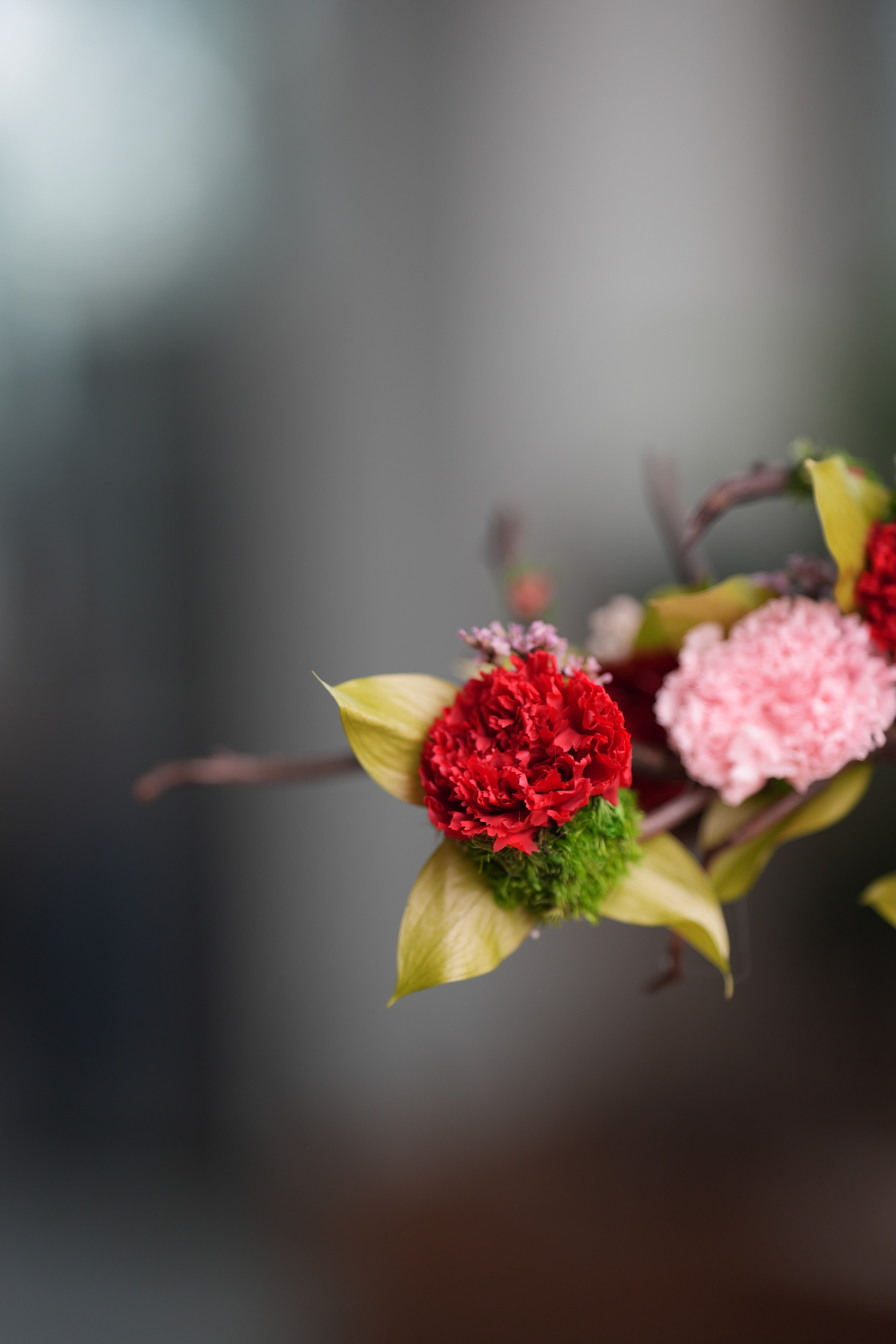 Children of the Forest - Wings - a bit smaller (Preserved Plants)