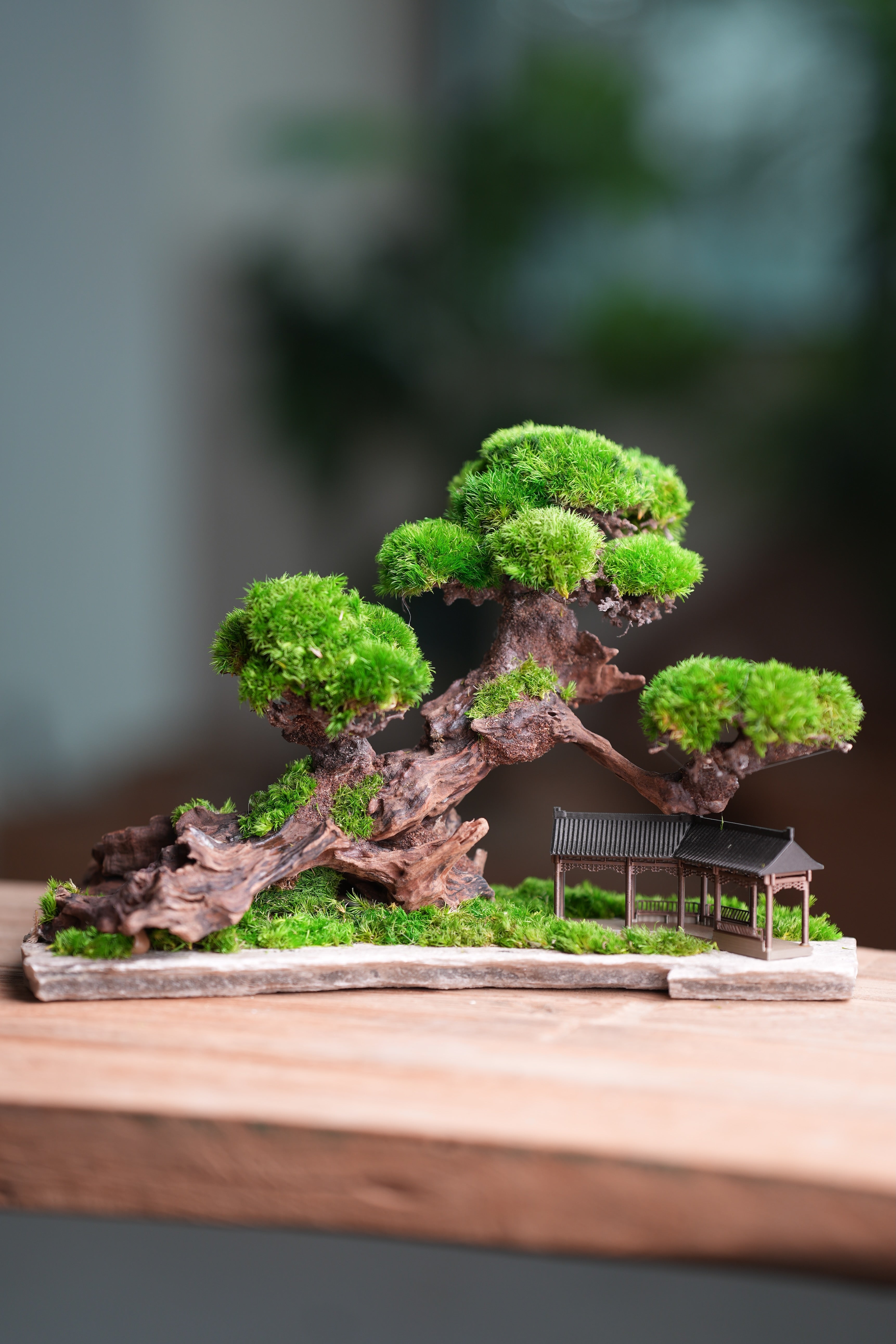 Greenwood - A Path in the East (Preserved Plants)