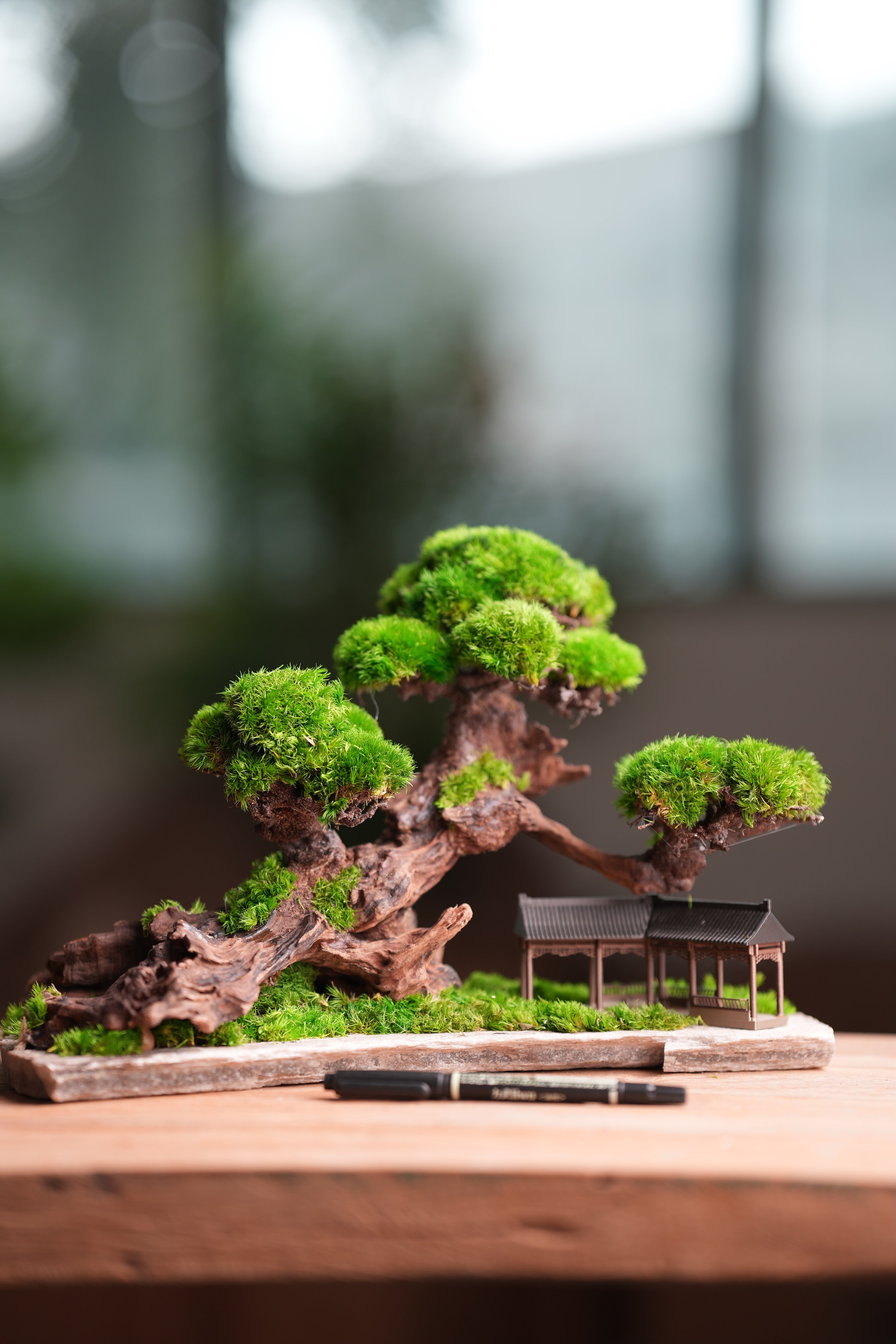 Greenwood - A Path in the East (Preserved Plants)