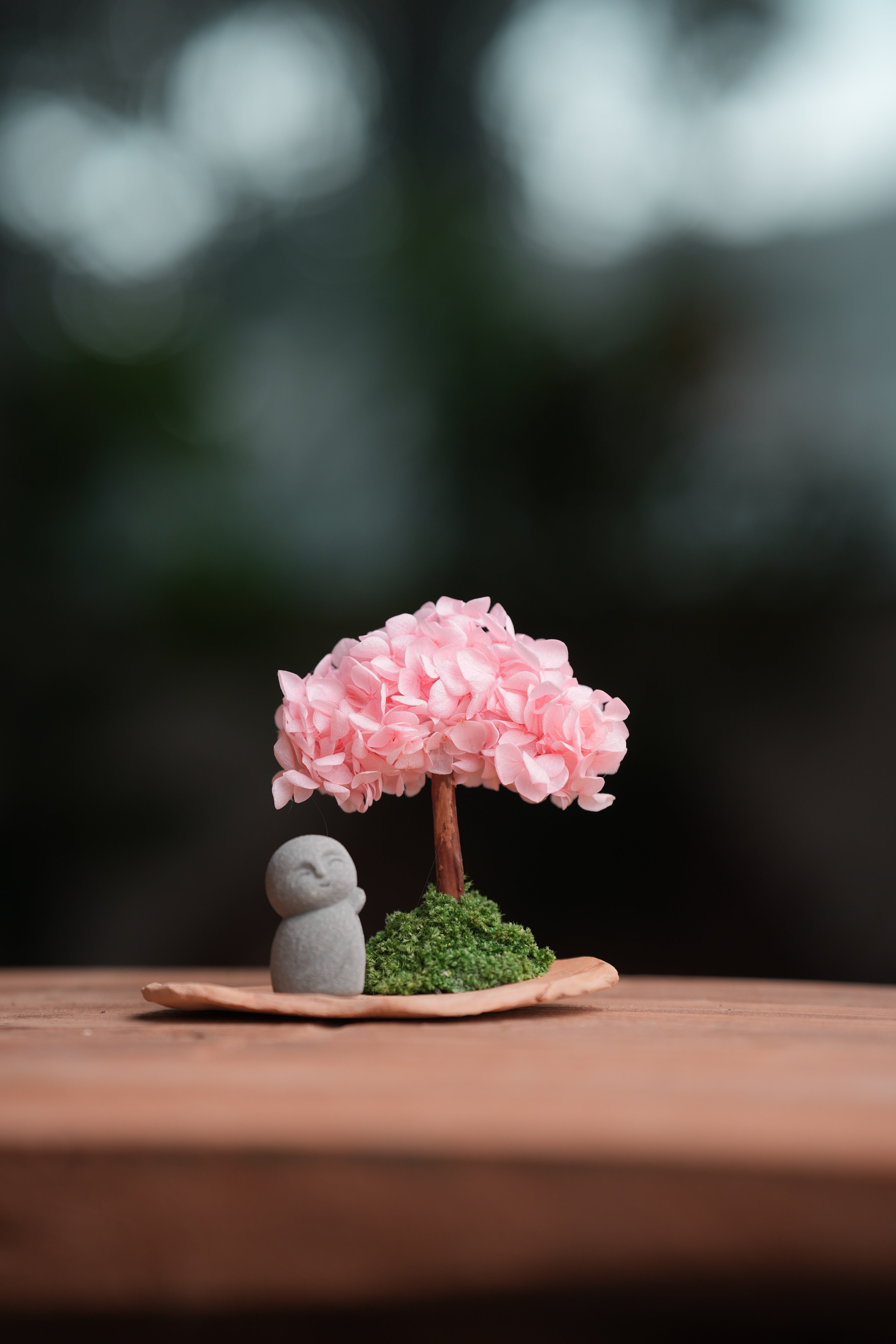 A Small Tree in the East - Sakura - Journeyman (Preserved Plants)