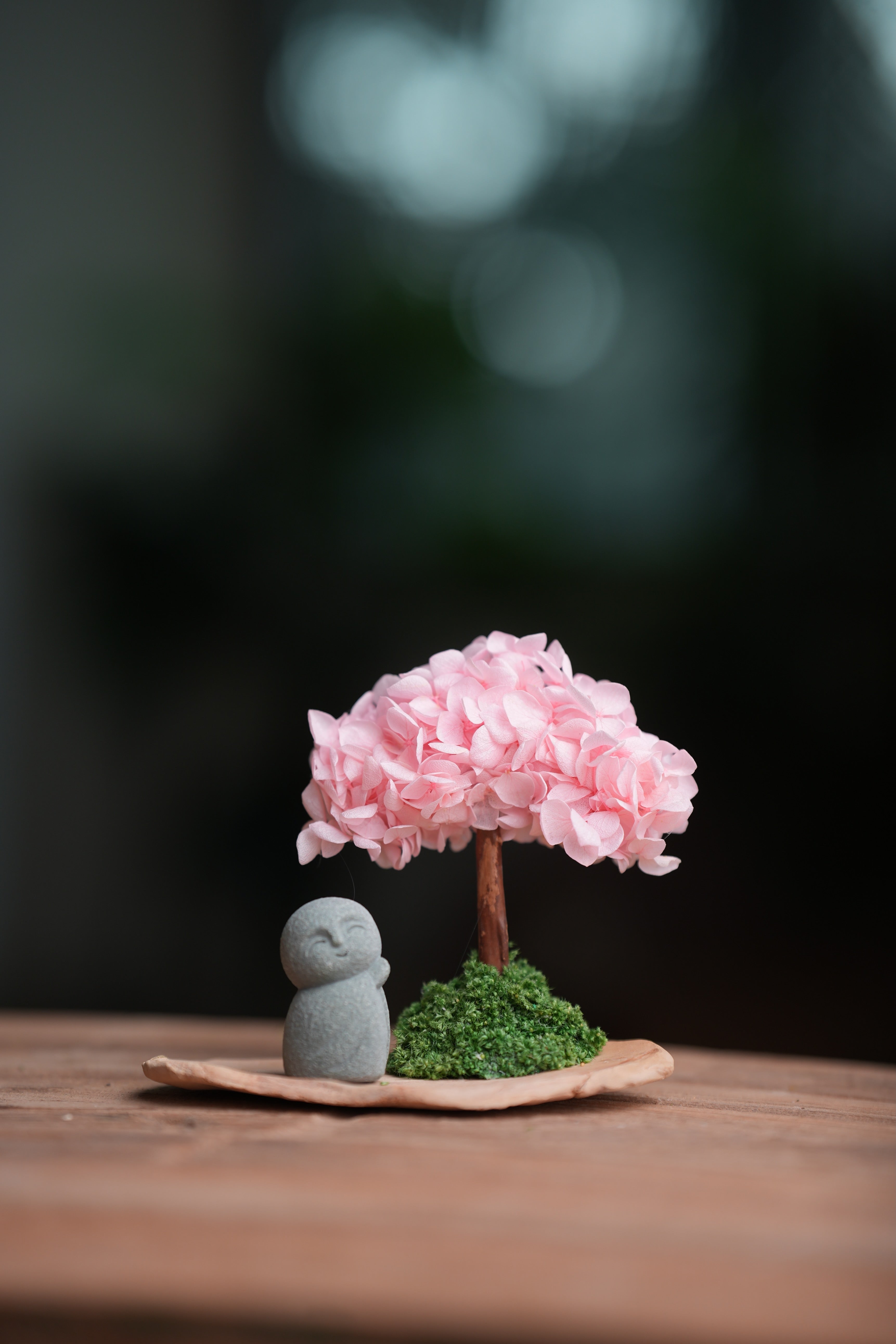 A Small Tree in the East - Sakura - Journeyman (Preserved Plants)