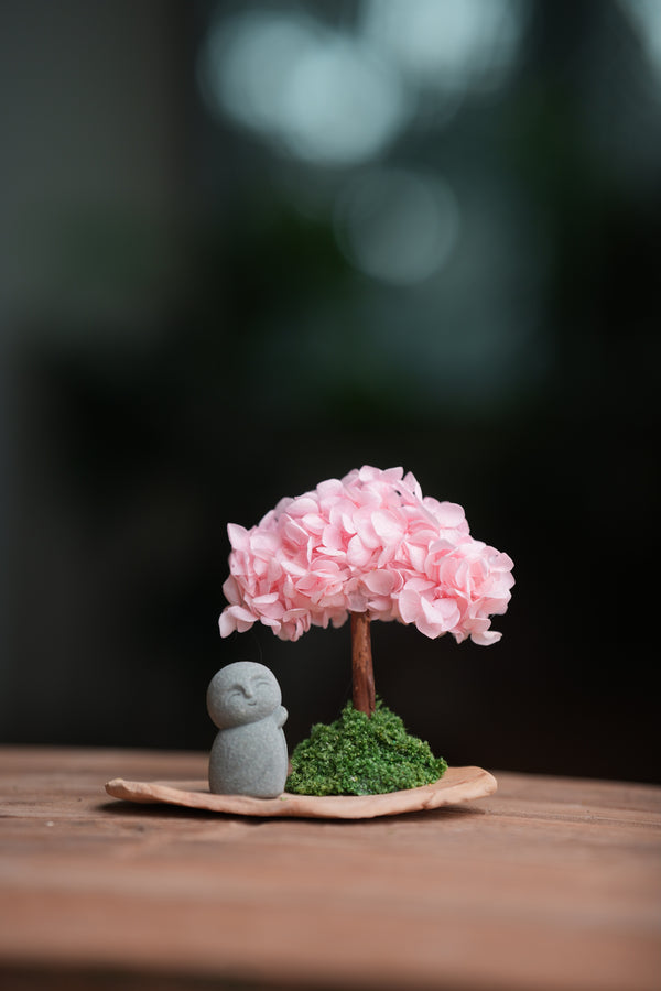 A Small Tree in the East - Sakura - Journeyman (Preserved Plants)