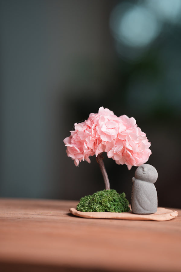 A Small Tree in the East - Sakura - Journeyman (Preserved Plants)