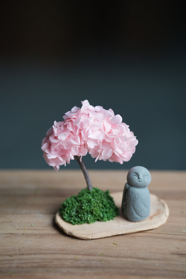 A Small Tree in the East - Sakura - Journeyman (Preserved Plants)