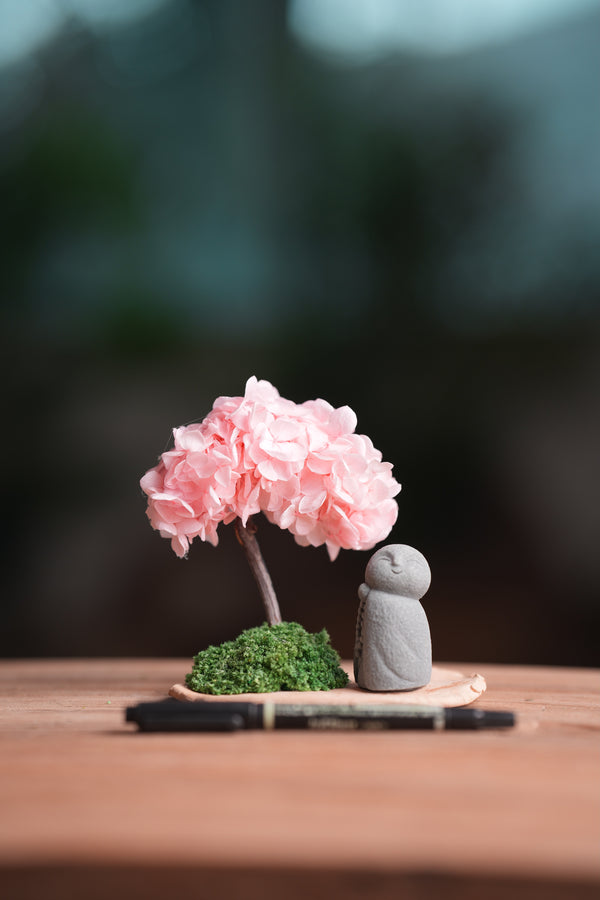 A Small Tree in the East - Sakura - Journeyman (Preserved Plants)