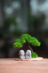 A Small Tree in the East - Classic - Duo of No Evil (Preserved Plants)