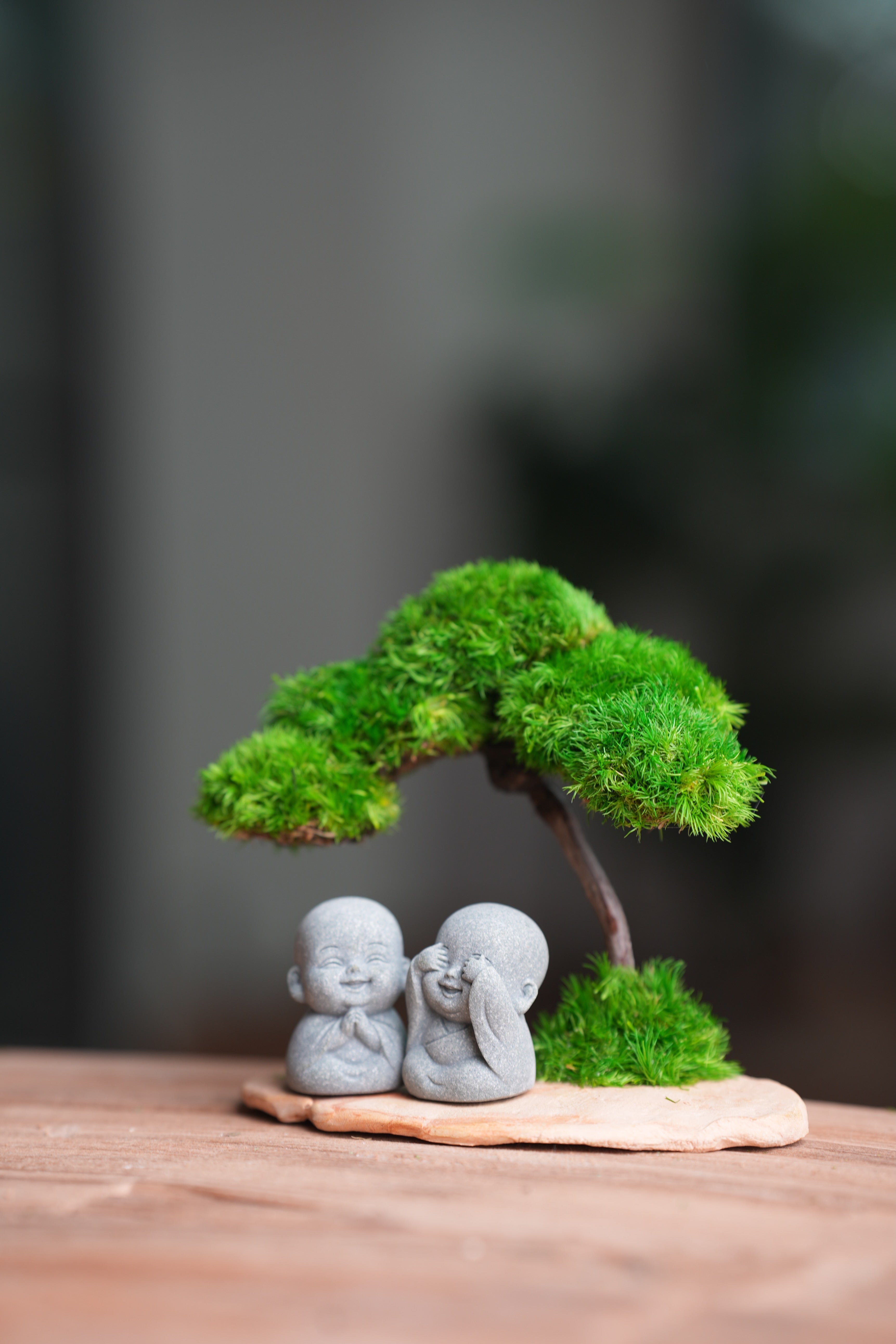 A Small Tree in the East - Classic - Duo of No Evil (Preserved Plants)