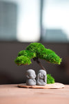 A Small Tree in the East - Classic - Duo of No Evil (Preserved Plants)