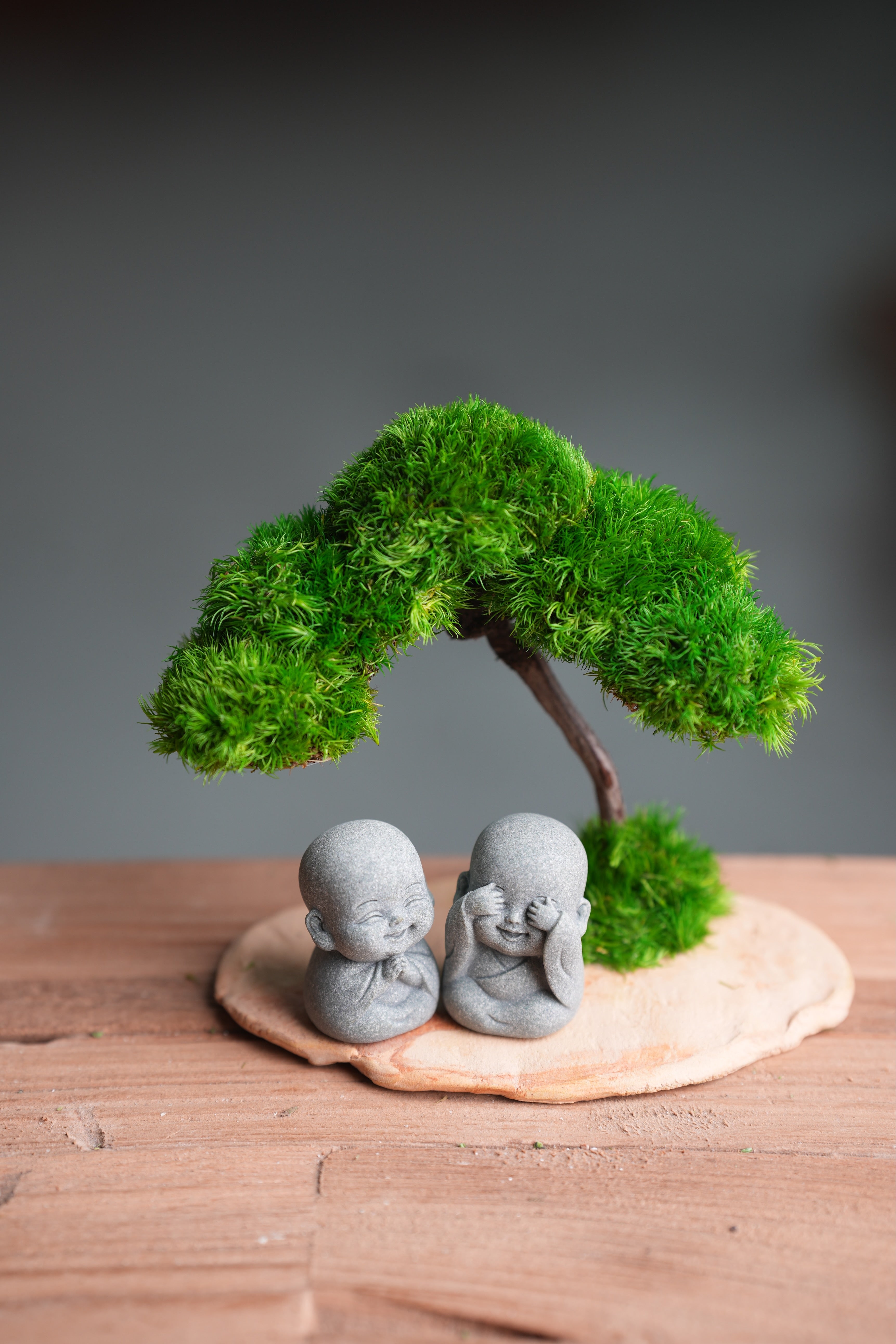 A Small Tree in the East - Classic - Duo of No Evil (Preserved Plants)