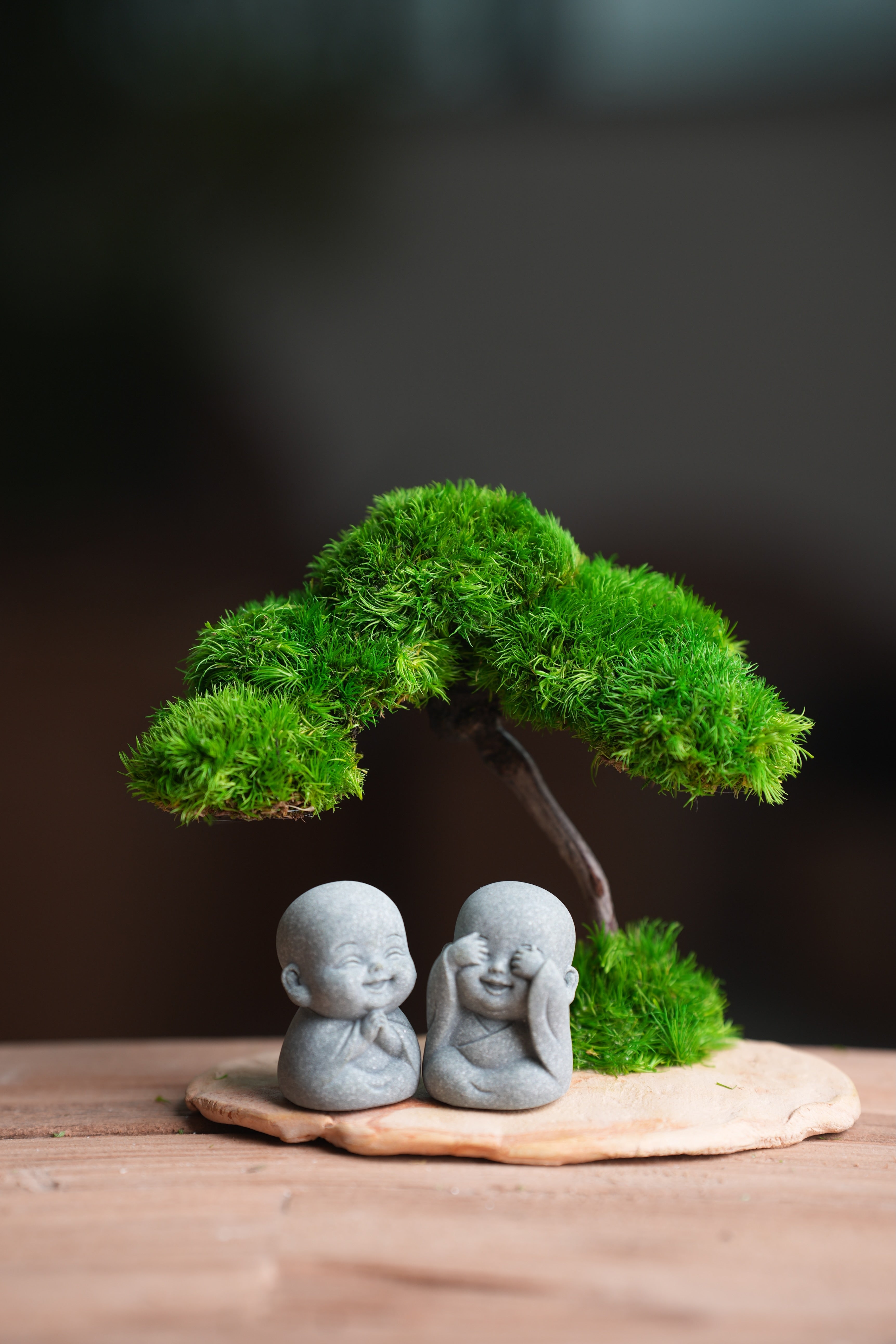 A Small Tree in the East - Classic - Duo of No Evil (Preserved Plants)