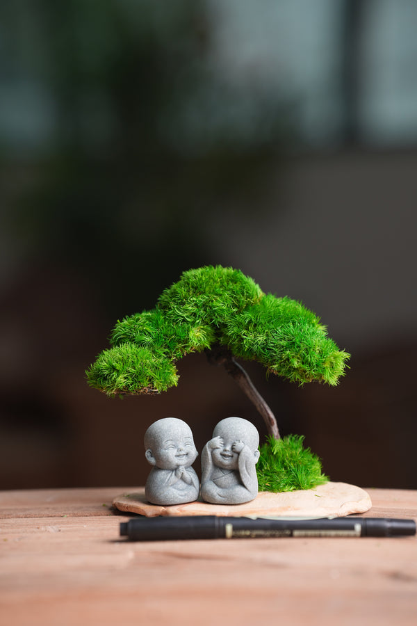 A Small Tree in the East - Classic - Duo of No Evil (Preserved Plants)