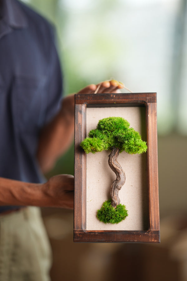 A Small Tree in the East - Wall Hanging edition (Preserved Plants)