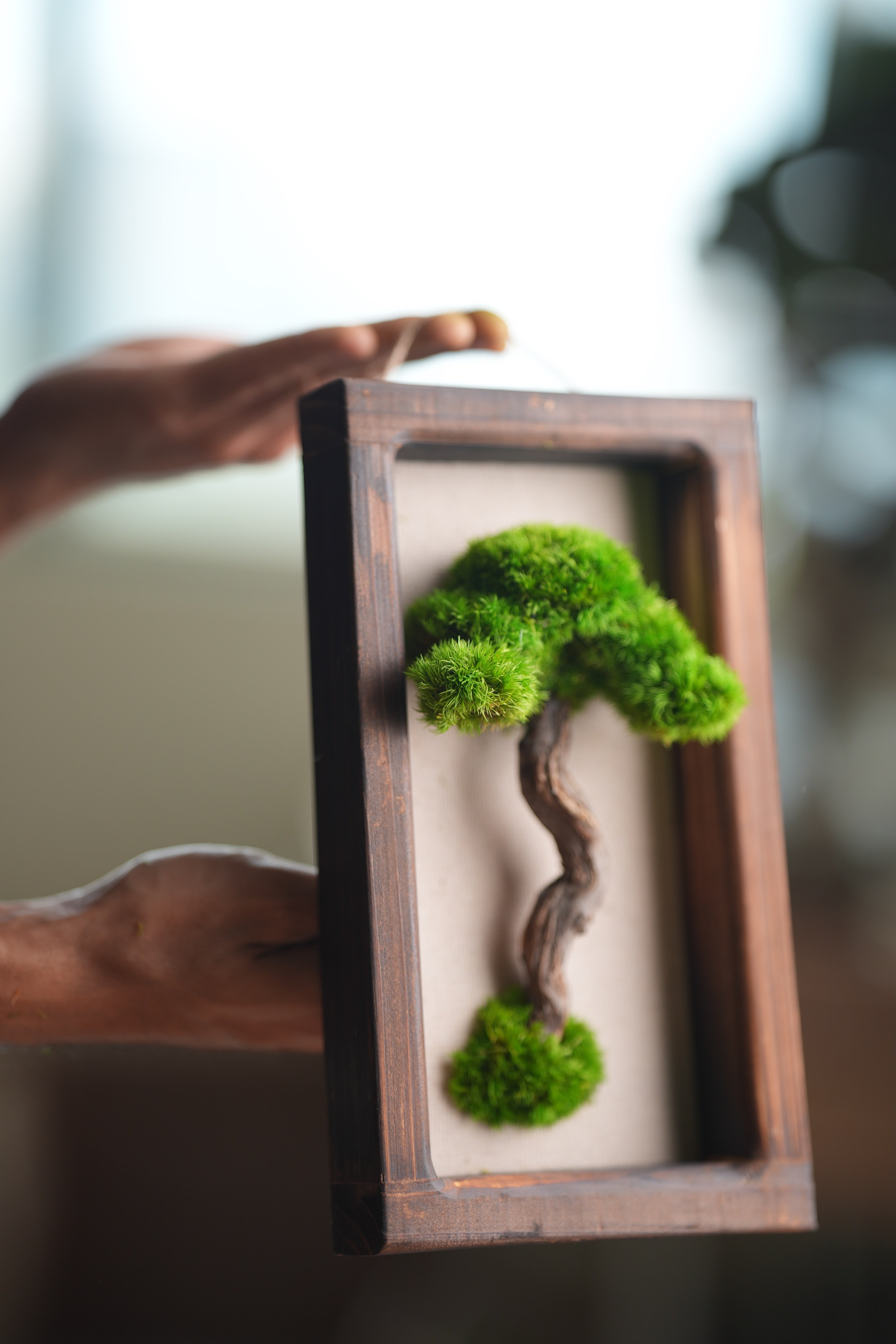 A Small Tree in the East - Wall Hanging edition (Preserved Plants)