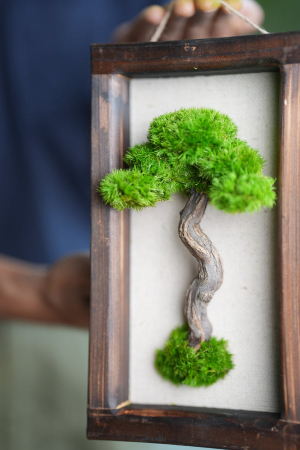 A Small Tree in the East - Wall Hanging edition (Preserved Plants)