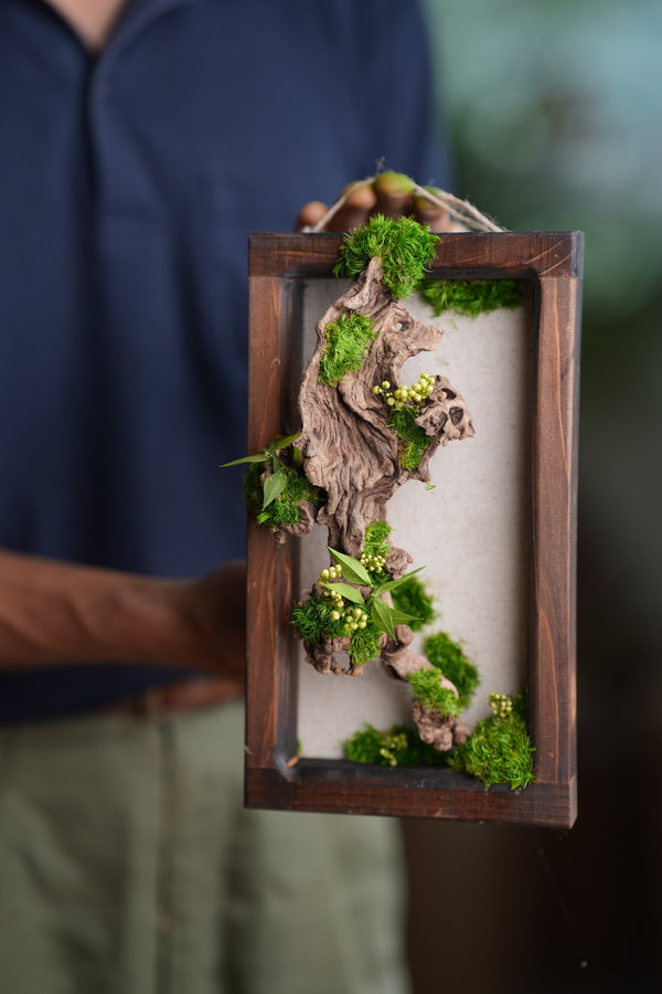 Blackwood - Wall Hanging edition (Preserved Plants)