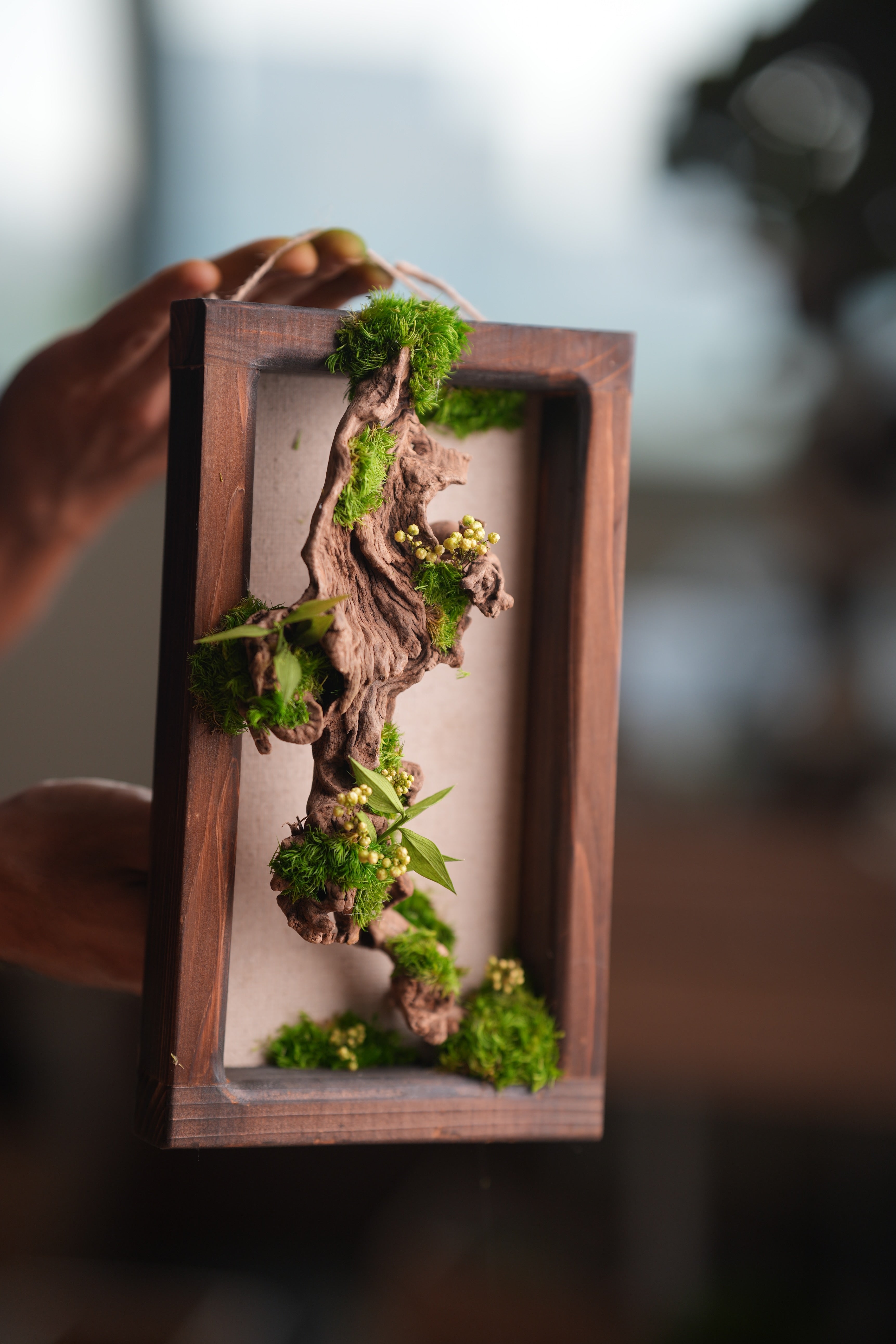 Blackwood - Wall Hanging edition (Preserved Plants)