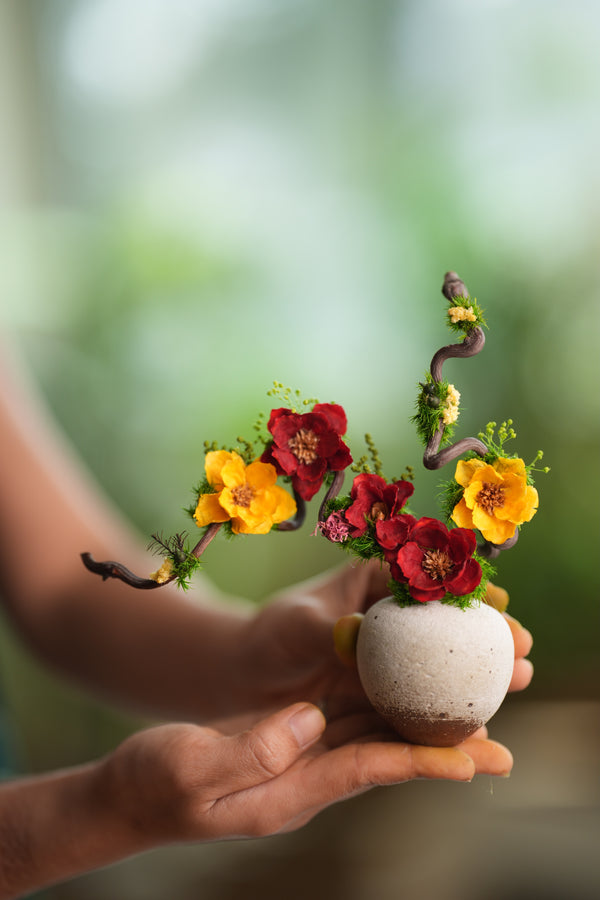 Children of the Forest - Vibrant - Smaller version (Preserved Plants)