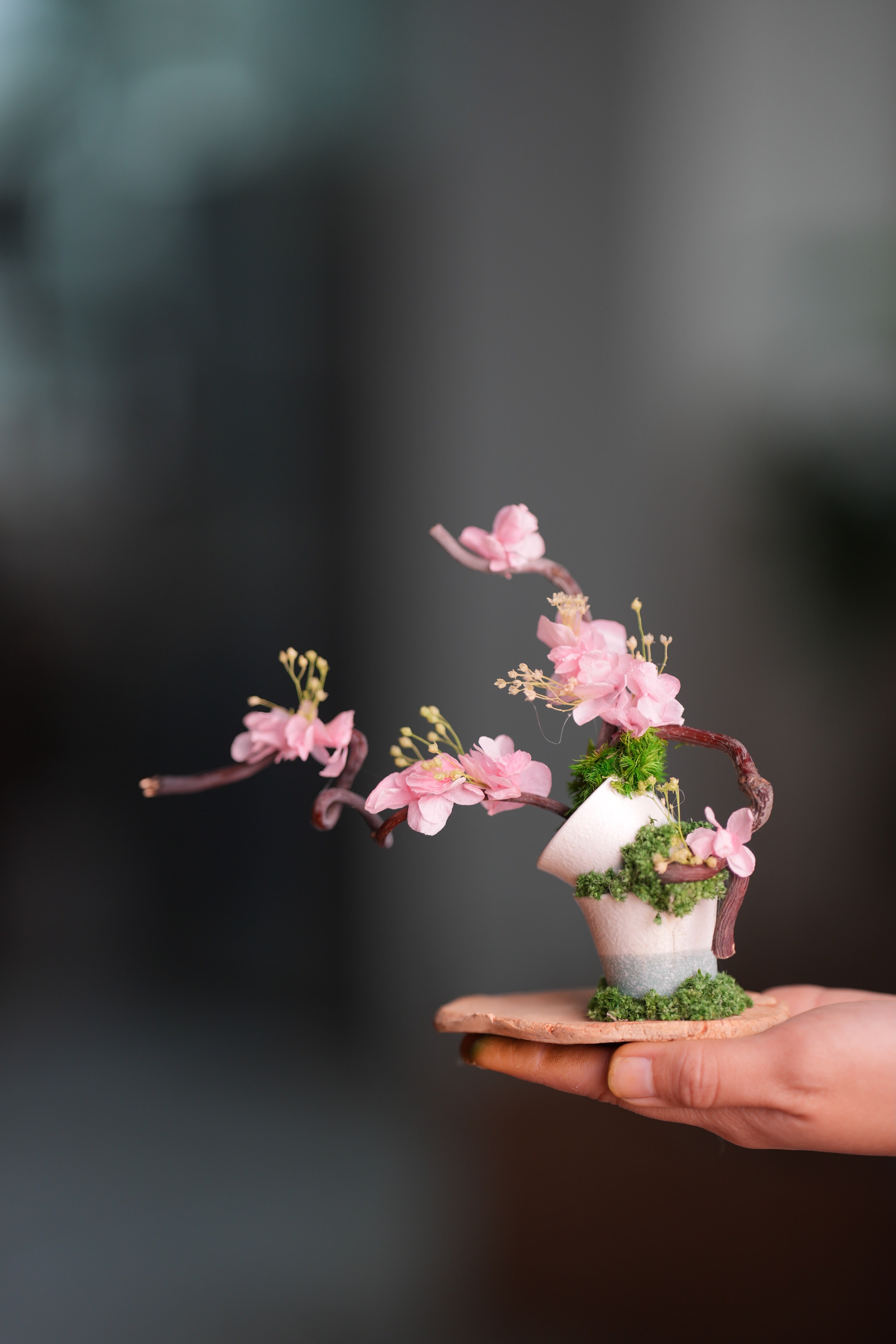 Children of the Forest - The Journey edition (Preserved Plants)