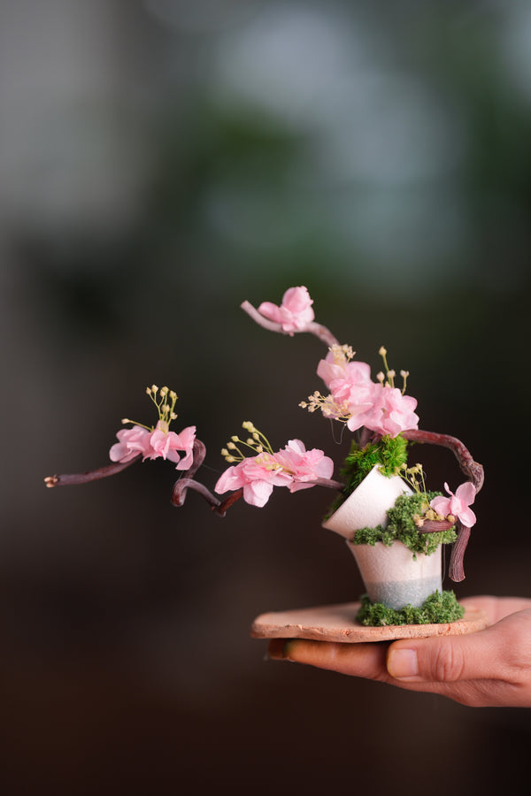 Children of the Forest - The Journey edition (Preserved Plants)