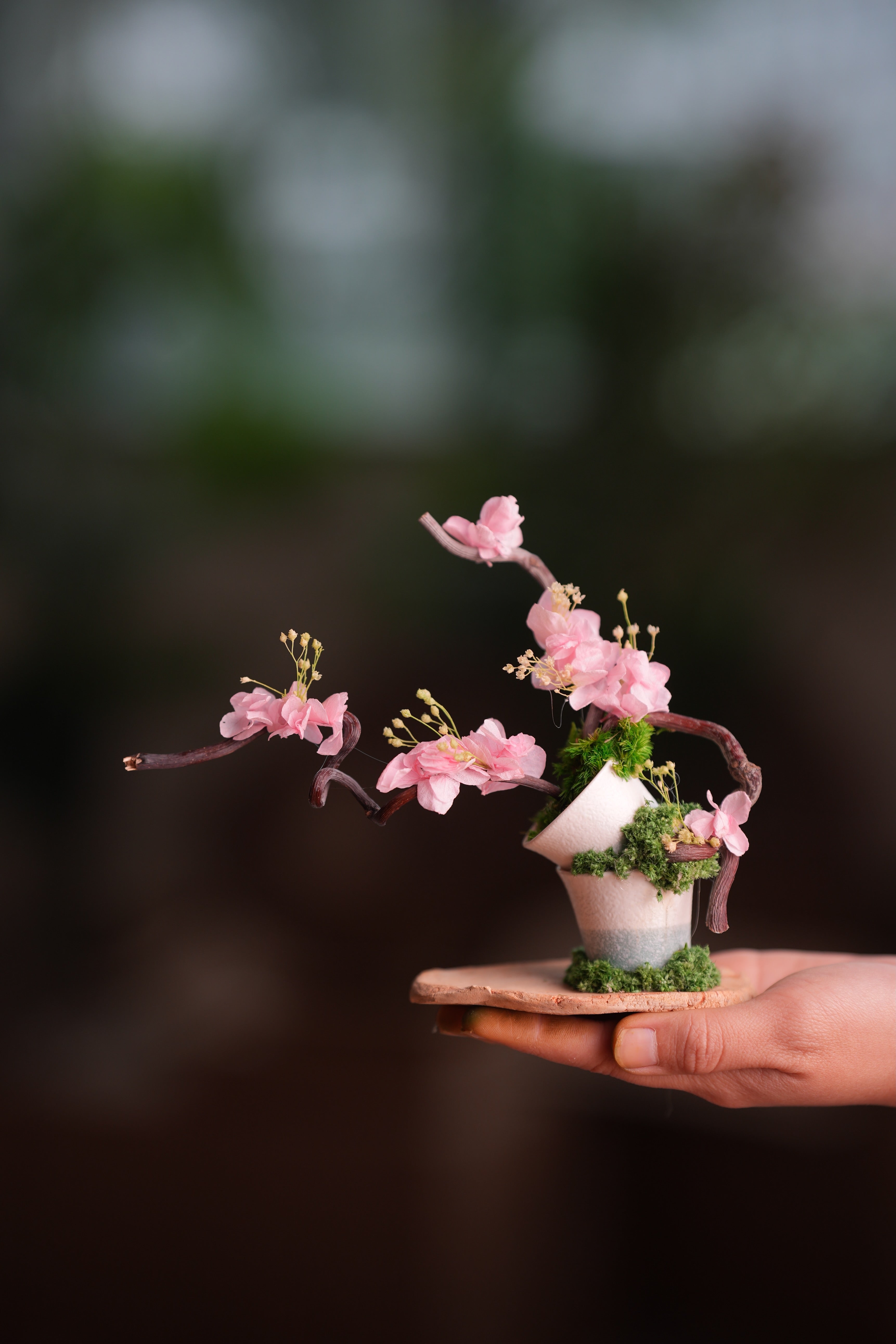 Children of the Forest - The Journey edition (Preserved Plants)