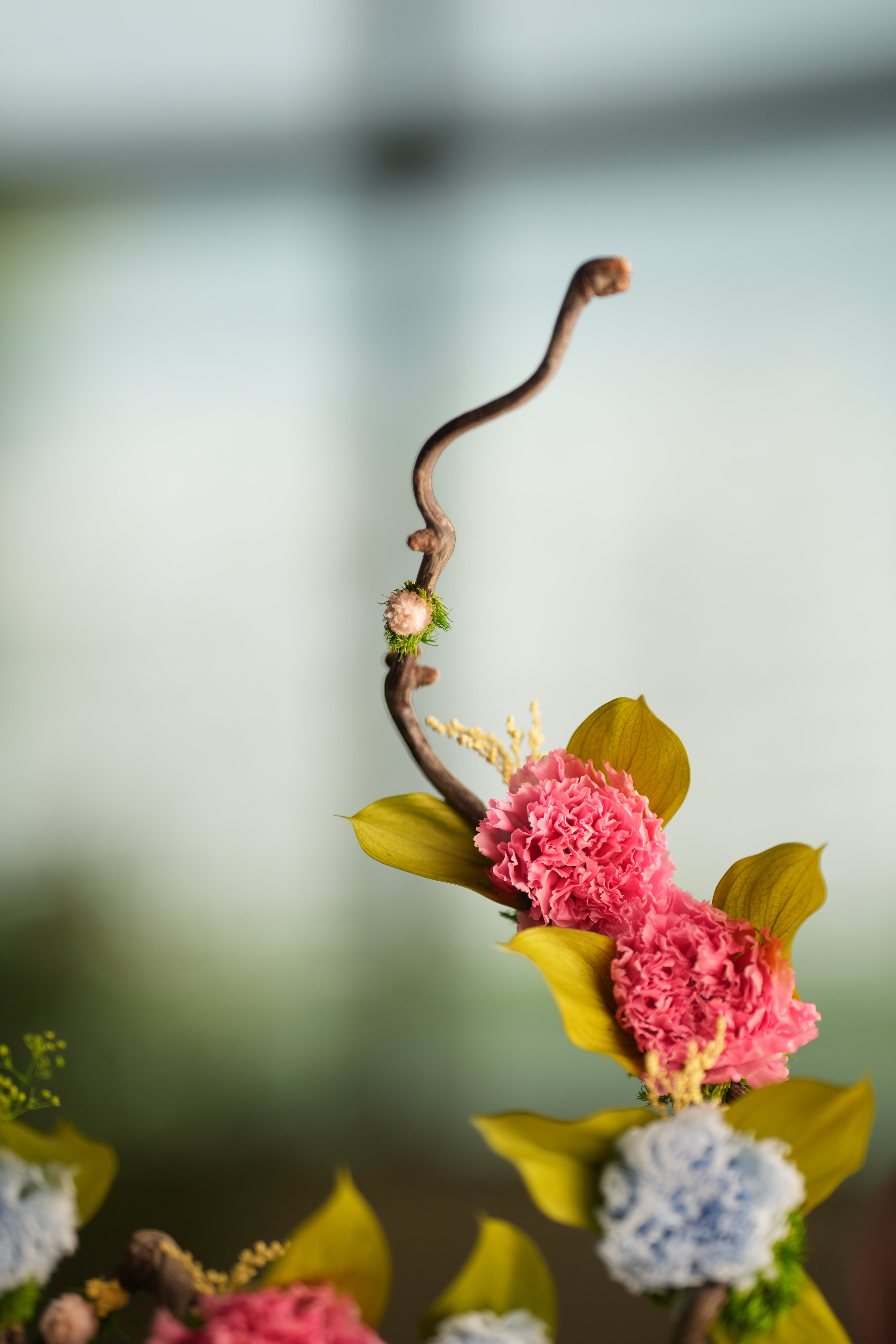 Children of the Forest - Wings (Preserved Plants)