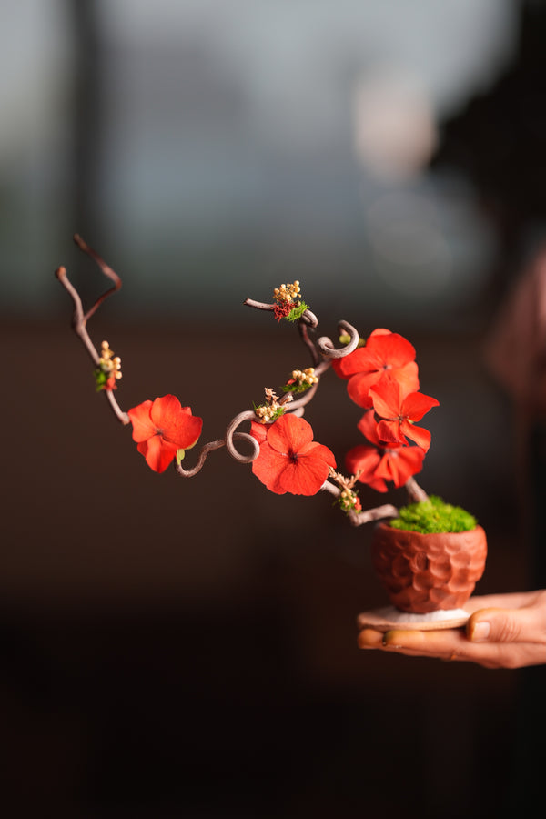 Children of Forest - Cotton Cloud (Preserved Plants)