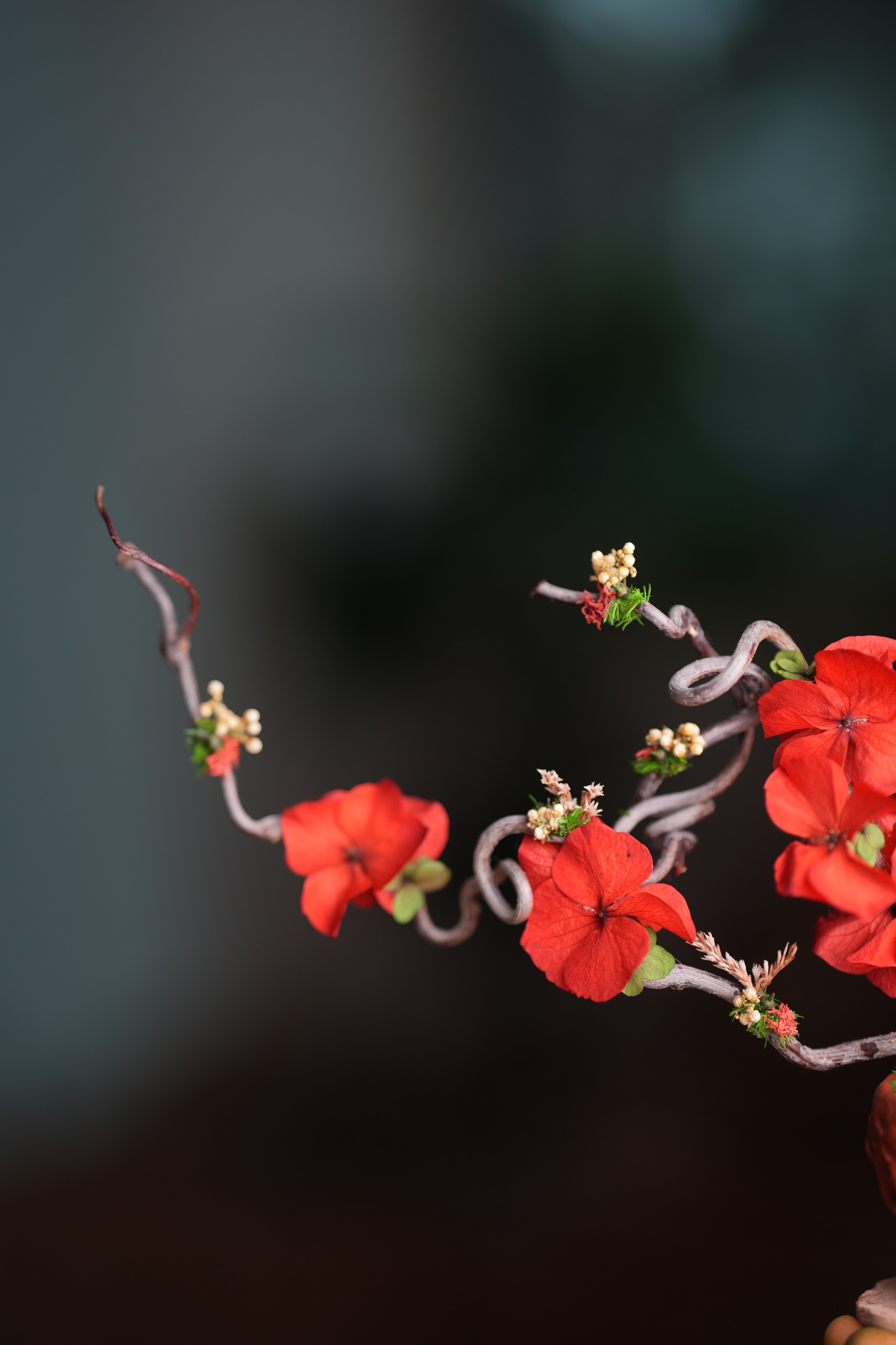 Children of Forest - Cotton Cloud (Preserved Plants)