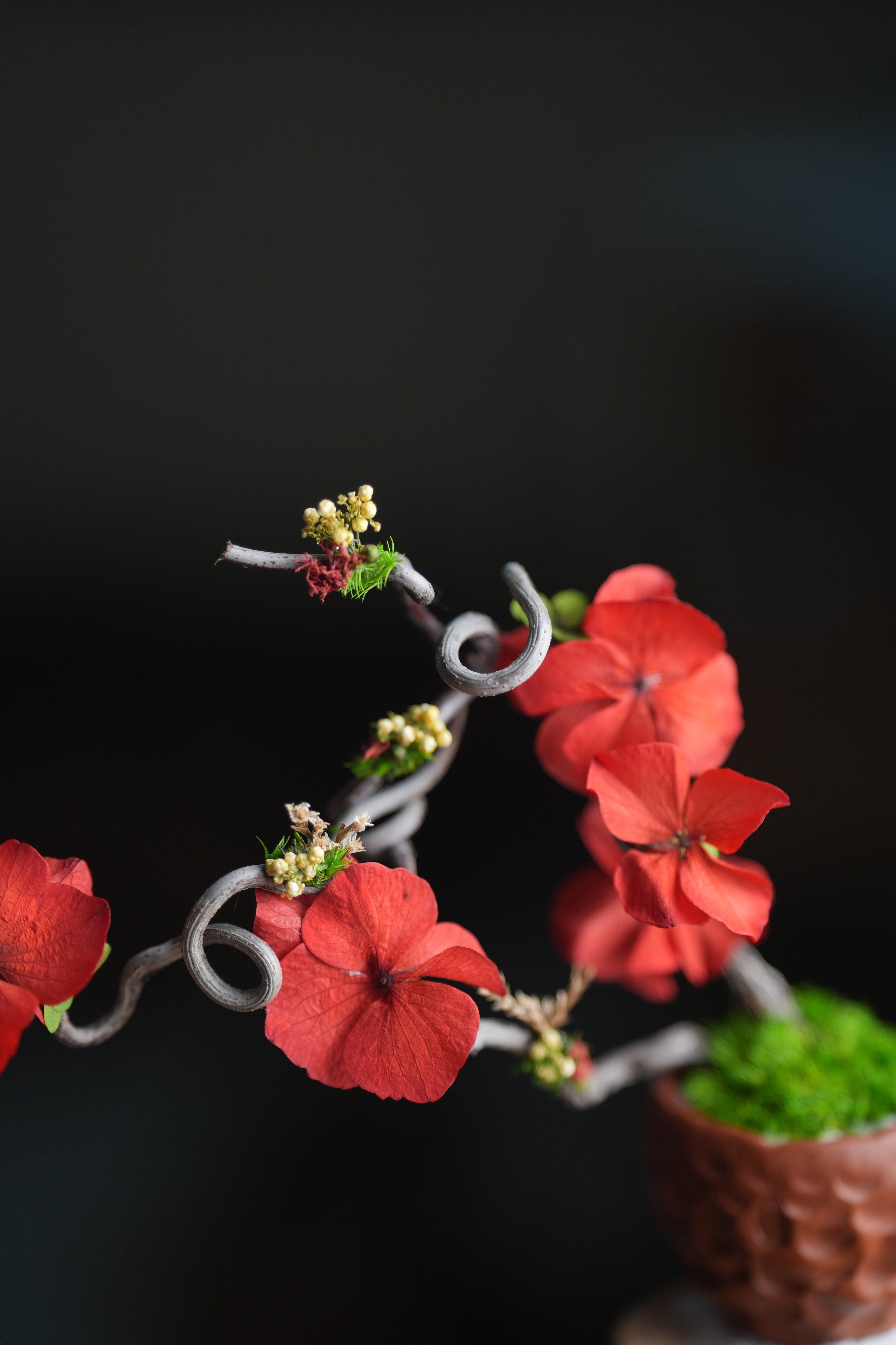 Children of Forest - Cotton Cloud (Preserved Plants)