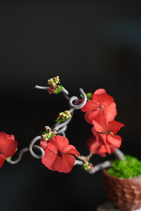Children of Forest - Cotton Cloud (Preserved Plants)