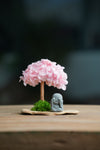 A Small Tree in the East - Sakura - Journeyman (Preserved Plants)