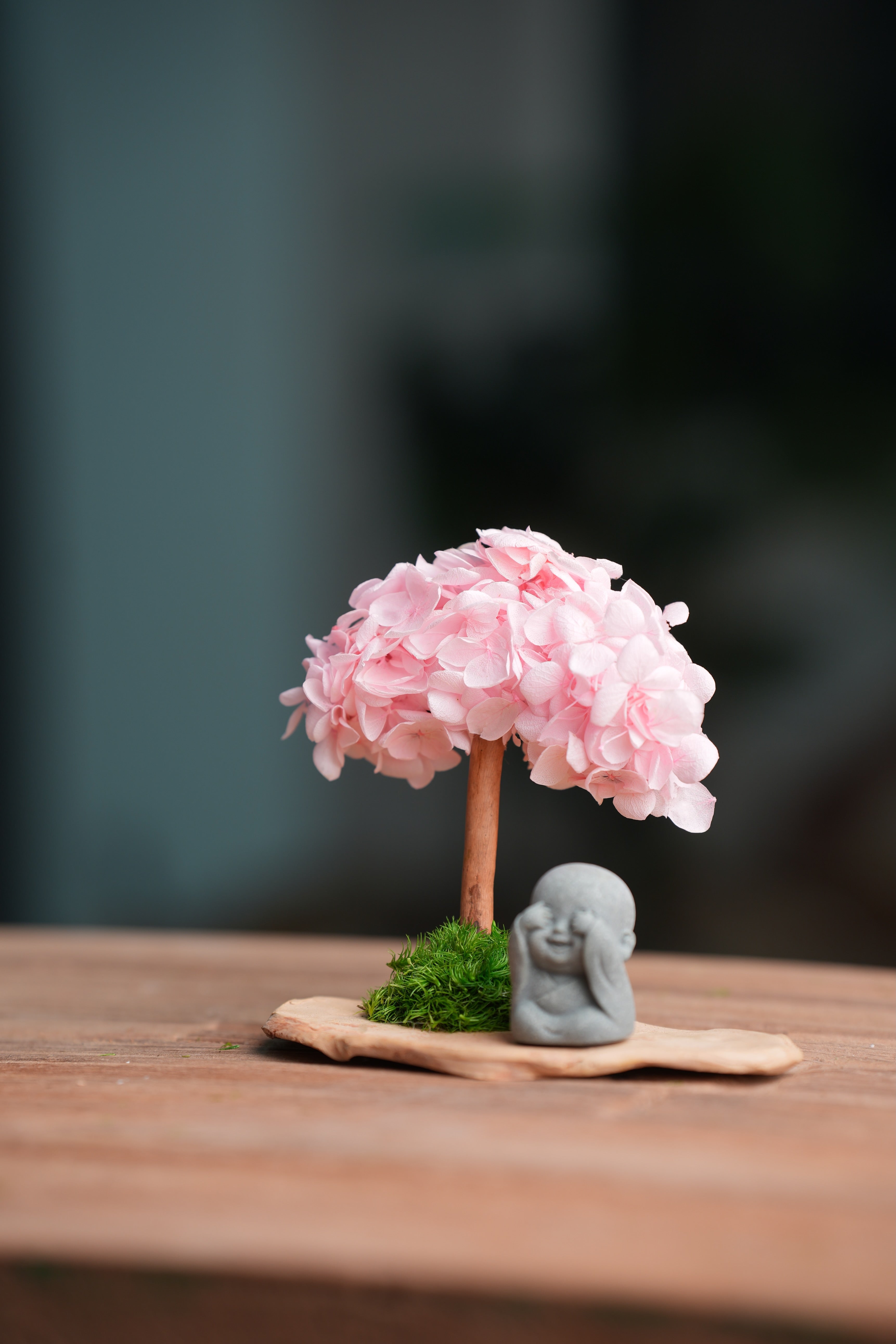 A Small Tree in the East - Sakura - Journeyman (Preserved Plants)