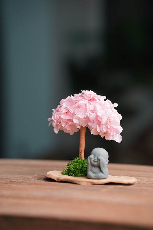 A Small Tree in the East - Sakura - Journeyman (Preserved Plants)