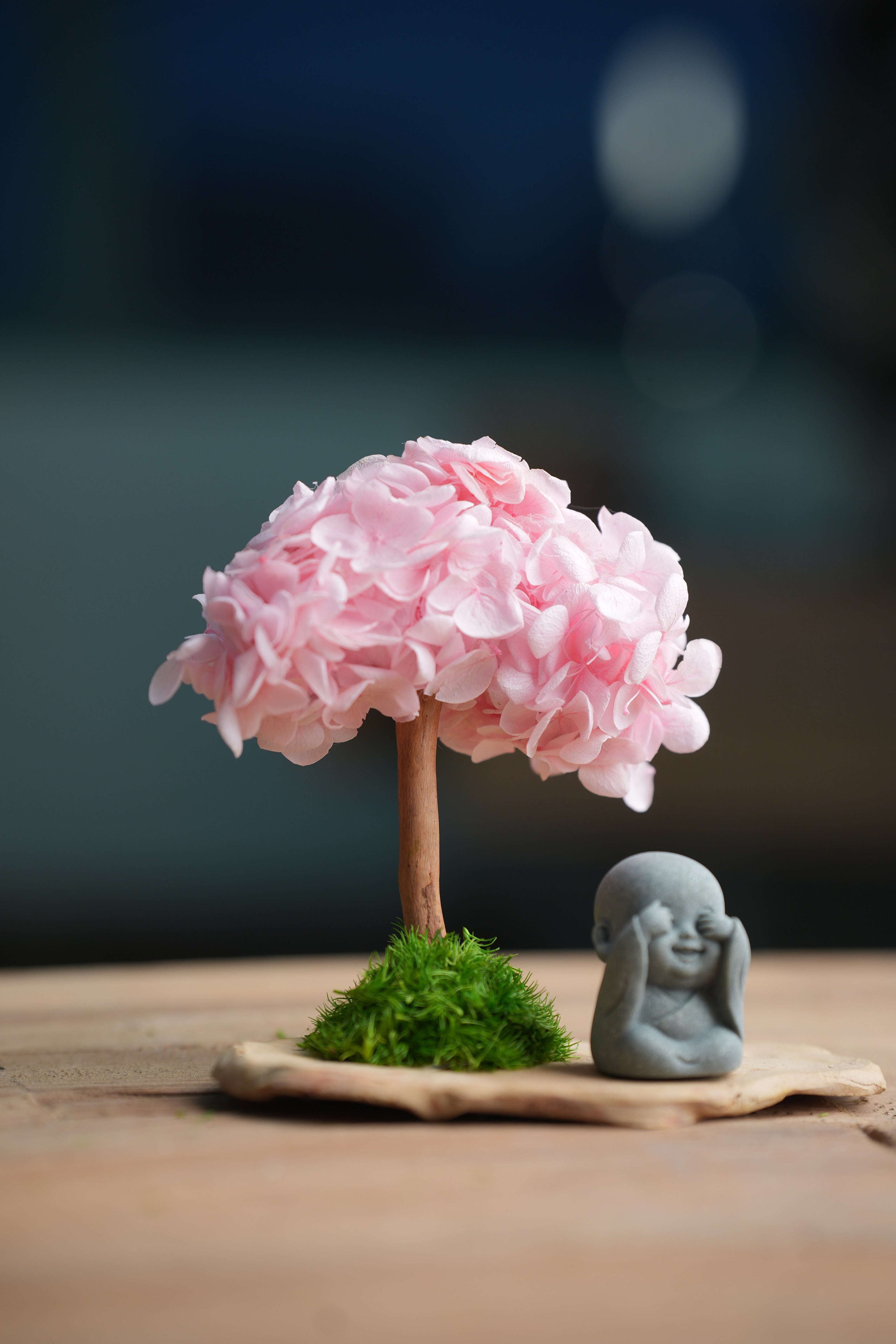 A Small Tree in the East - Sakura - Journeyman (Preserved Plants)