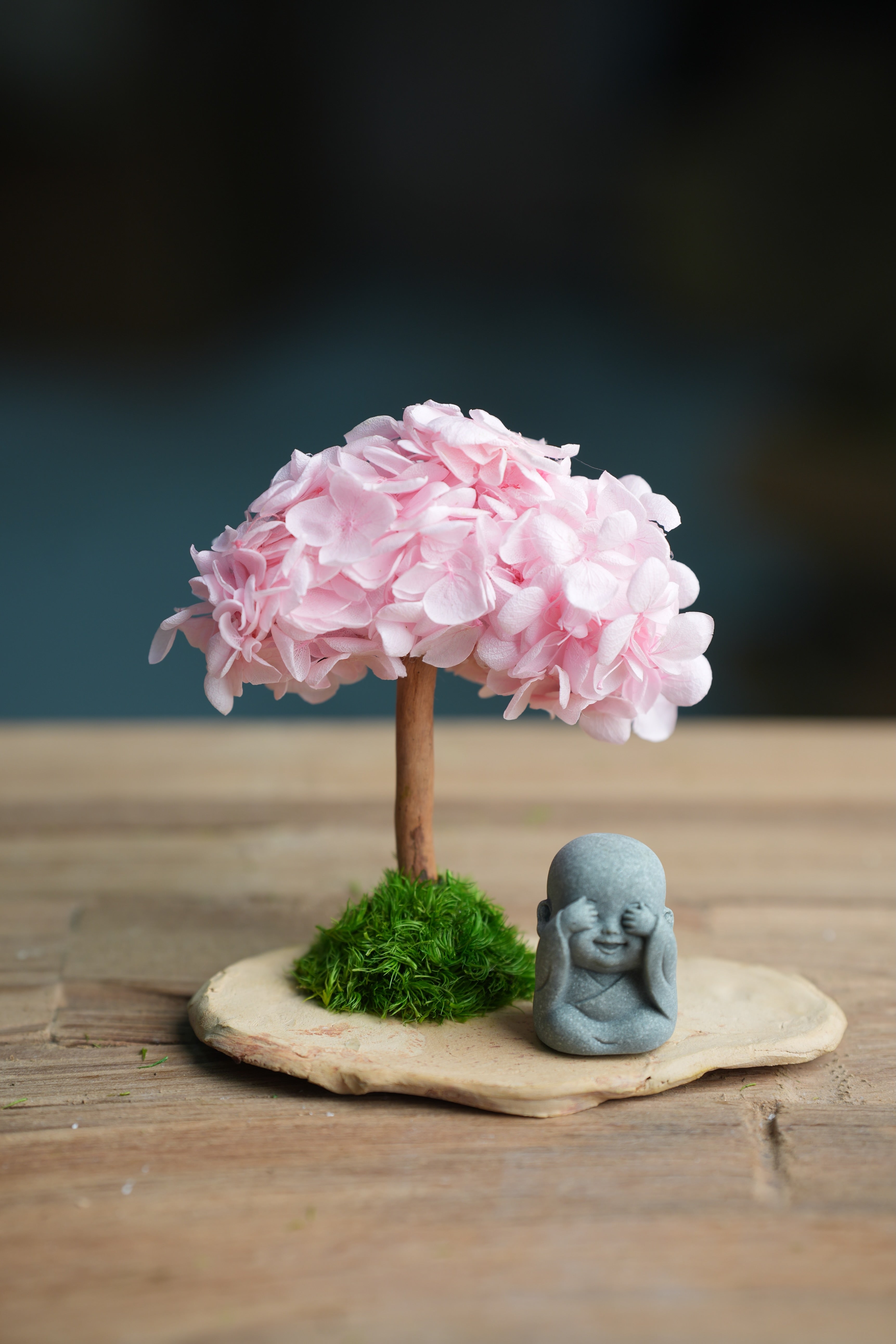 A Small Tree in the East - Sakura - Journeyman (Preserved Plants)