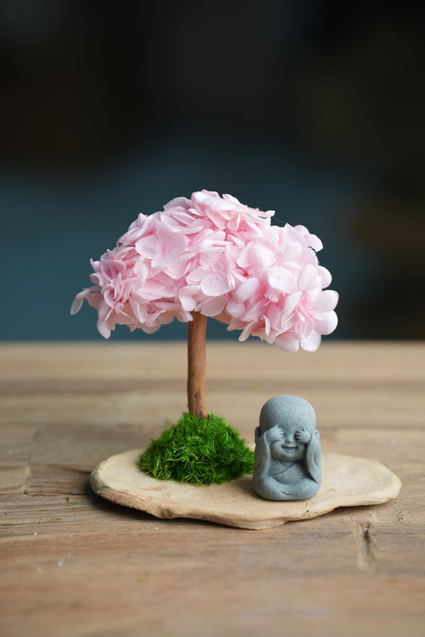 A Small Tree in the East - Sakura - Journeyman (Preserved Plants)
