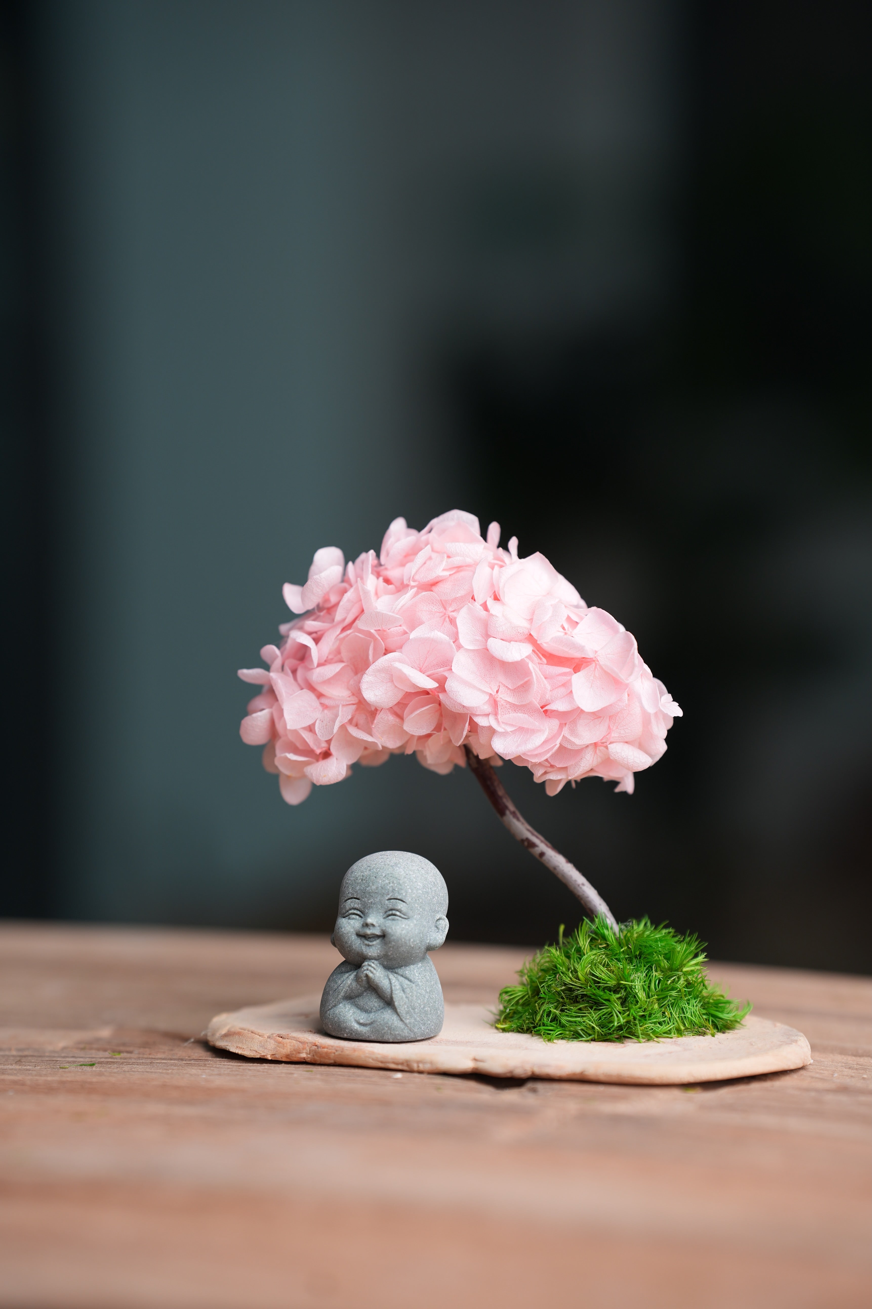 A Small Tree in the East - Sakura - Journeyman (Preserved Plants)