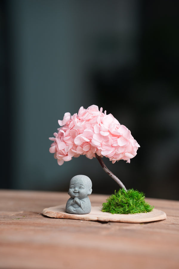 A Small Tree in the East - Sakura - Journeyman (Preserved Plants)