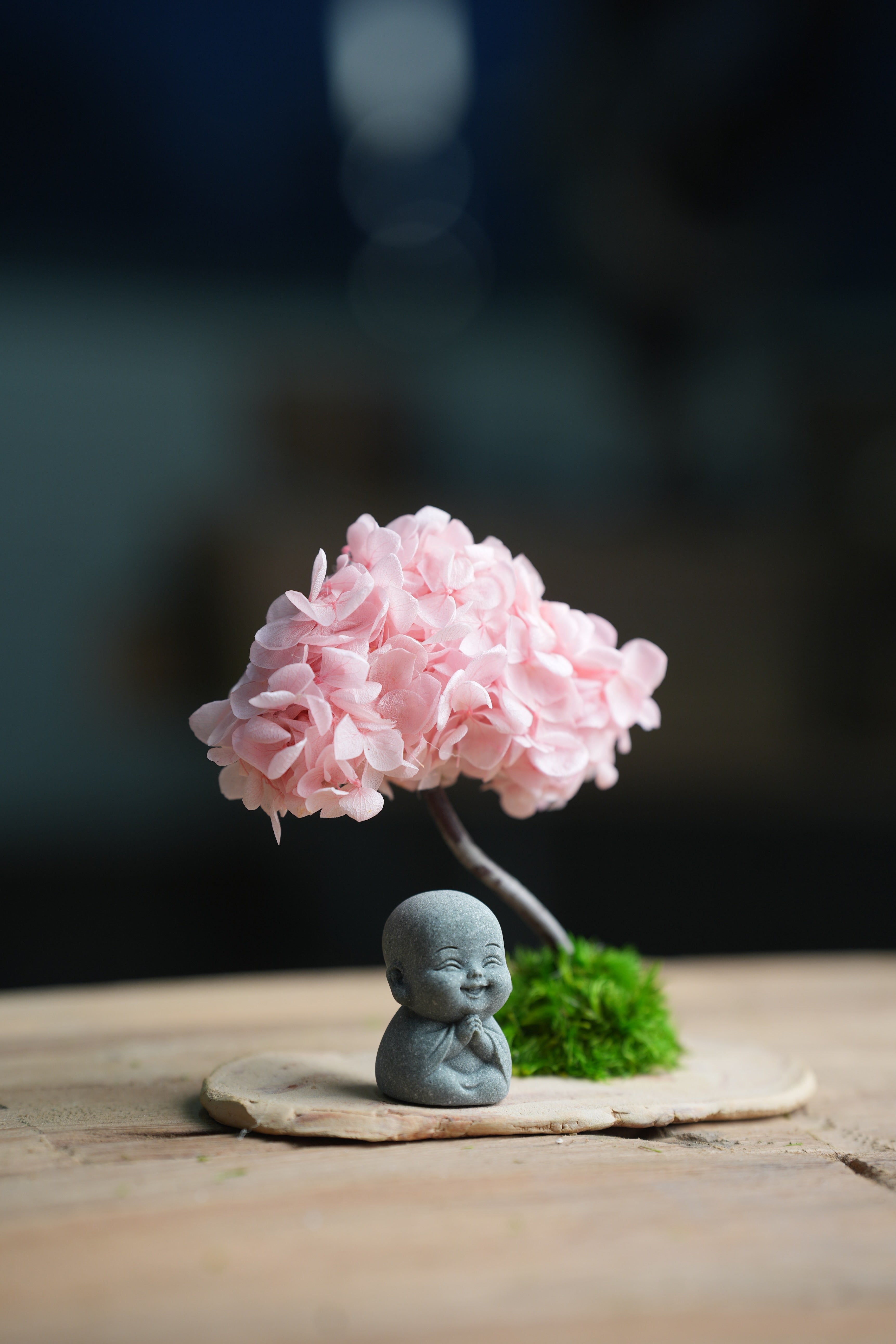 A Small Tree in the East - Sakura - Journeyman (Preserved Plants)