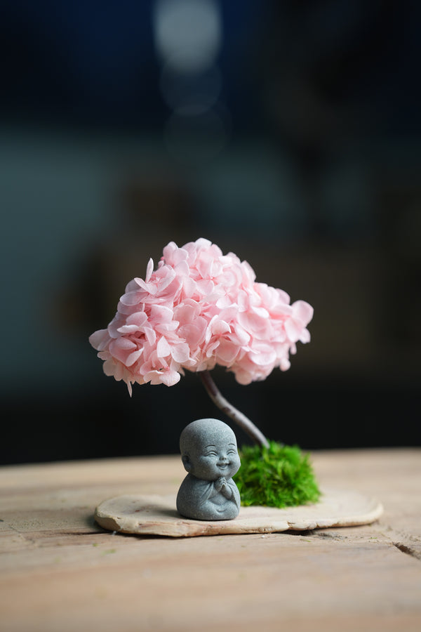 A Small Tree in the East - Sakura - Journeyman (Preserved Plants)