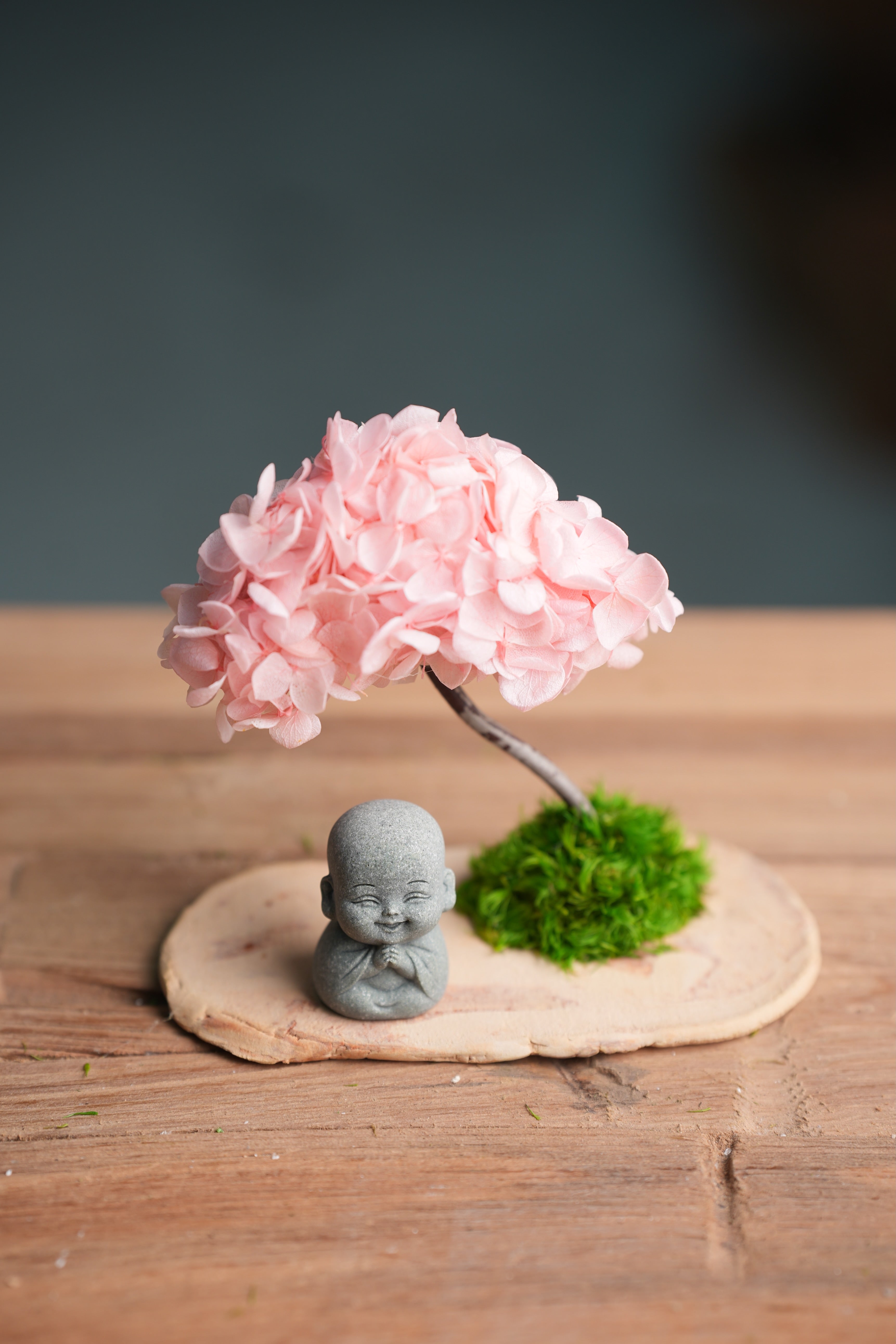 A Small Tree in the East - Sakura - Journeyman (Preserved Plants)