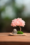 A Small Tree in the East - Sakura - Journeyman (Preserved Plants)