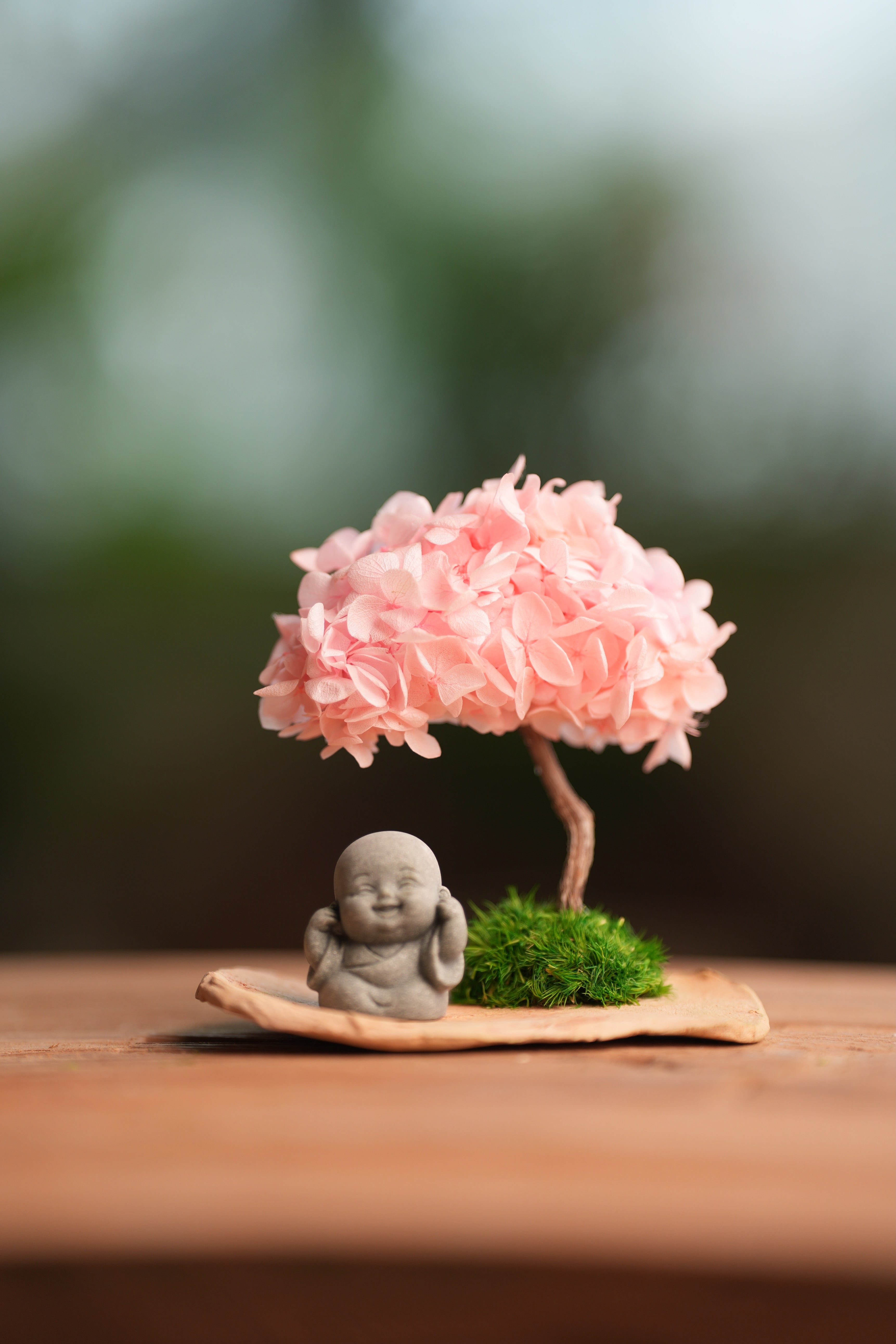 A Small Tree in the East - Sakura - Journeyman (Preserved Plants)