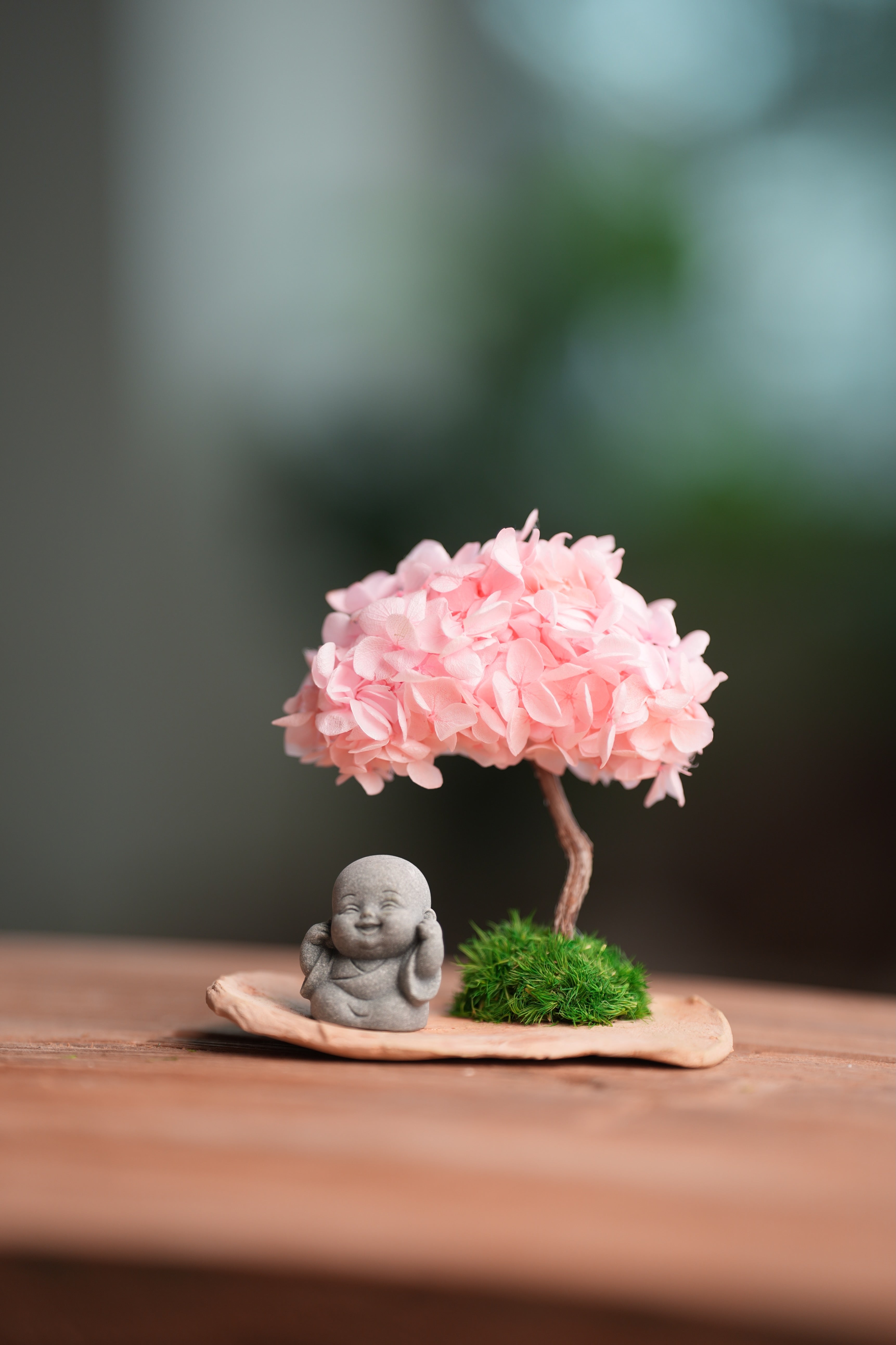 A Small Tree in the East - Sakura - Journeyman (Preserved Plants)