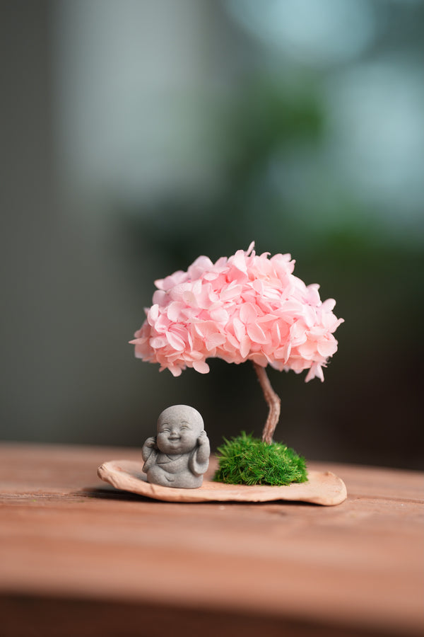 A Small Tree in the East - Sakura - Journeyman (Preserved Plants)