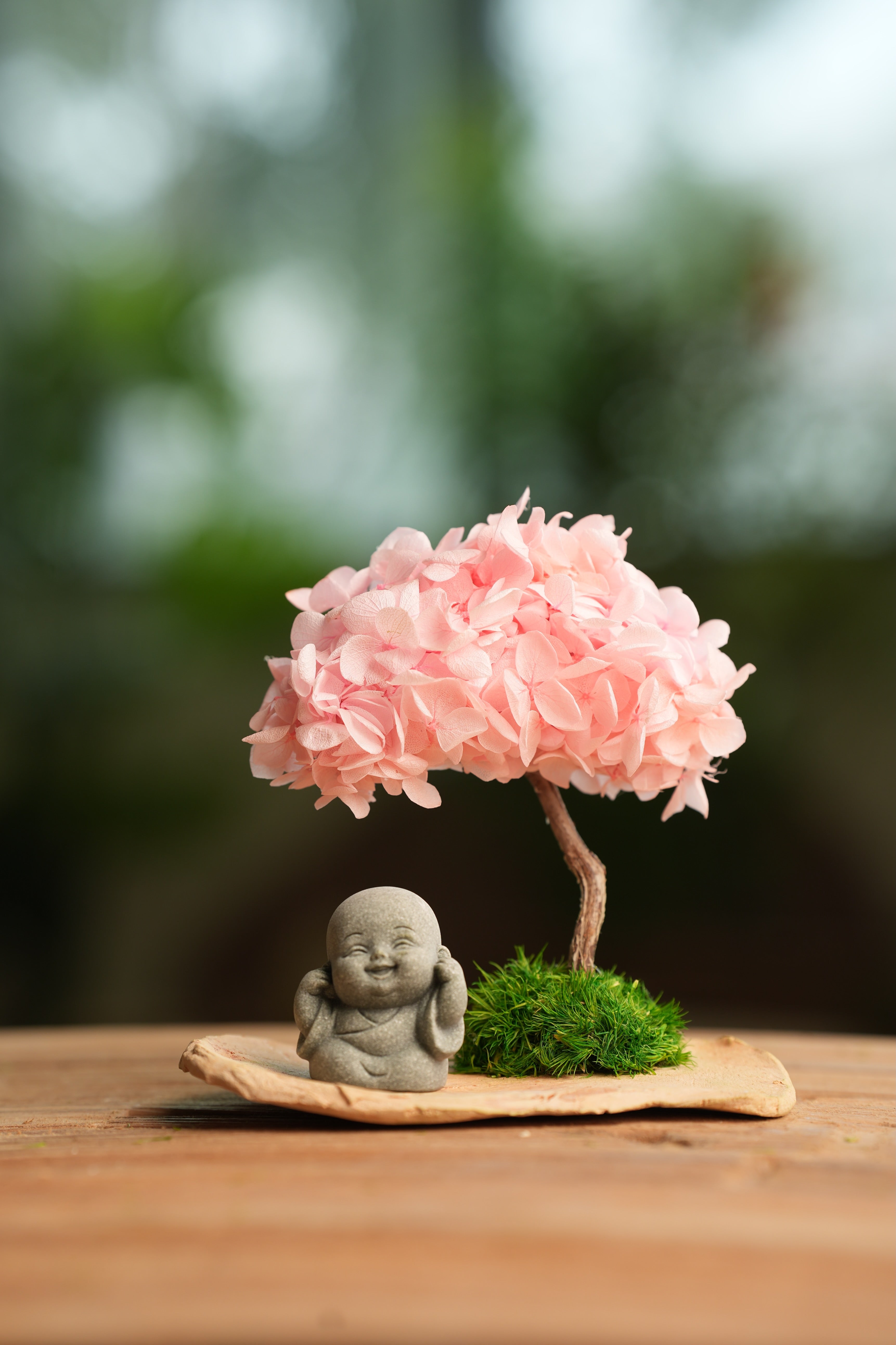 A Small Tree in the East - Sakura - Journeyman (Preserved Plants)