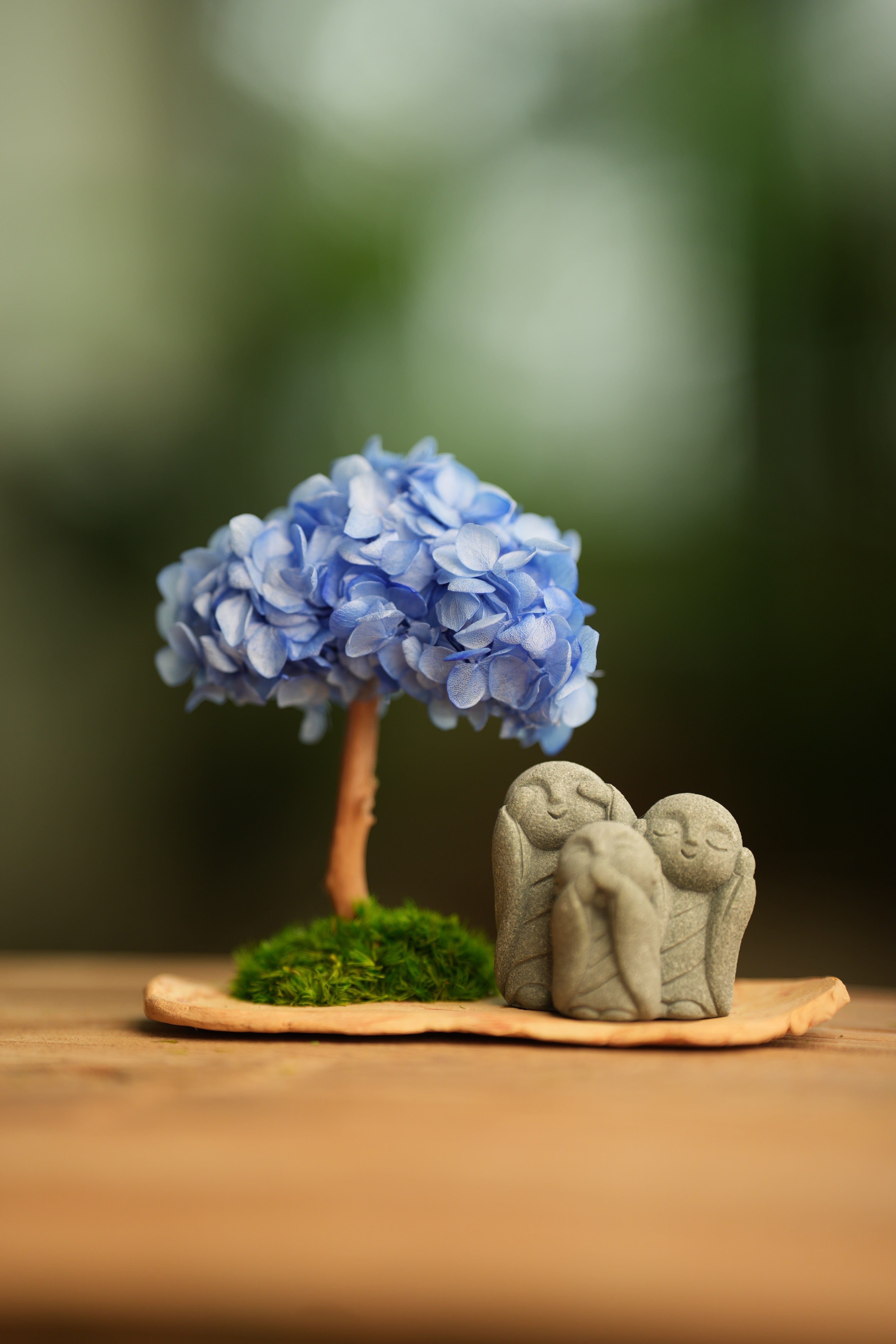 A Small Tree in the East - Blue Dream - Trio of No Evil (Preserved Plants)