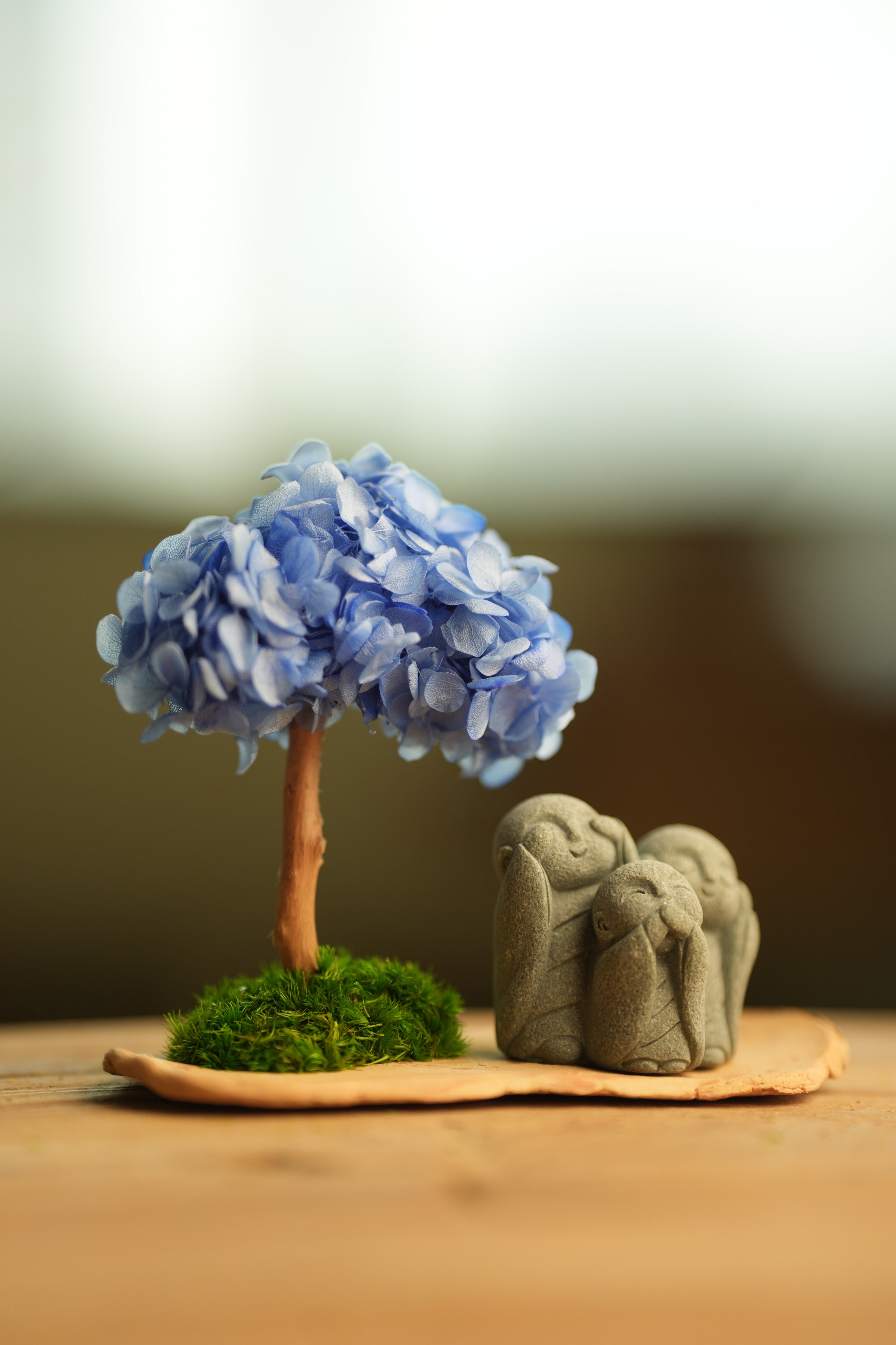 A Small Tree in the East - Blue Dream - Trio of No Evil (Preserved Plants)