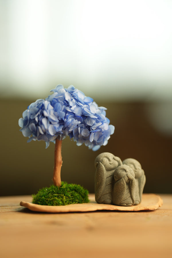 A Small Tree in the East - Blue Dream - Trio of No Evil (Preserved Plants)