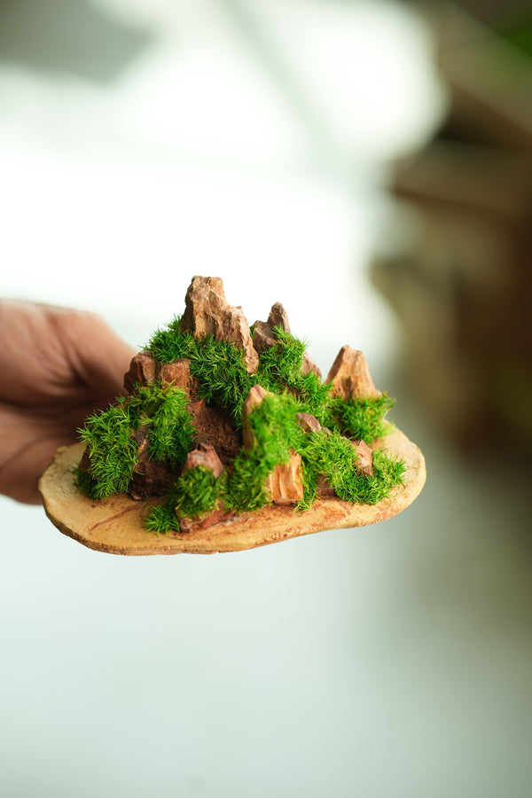 Angel's Landing - Valley in Summer (Preserved Plants)