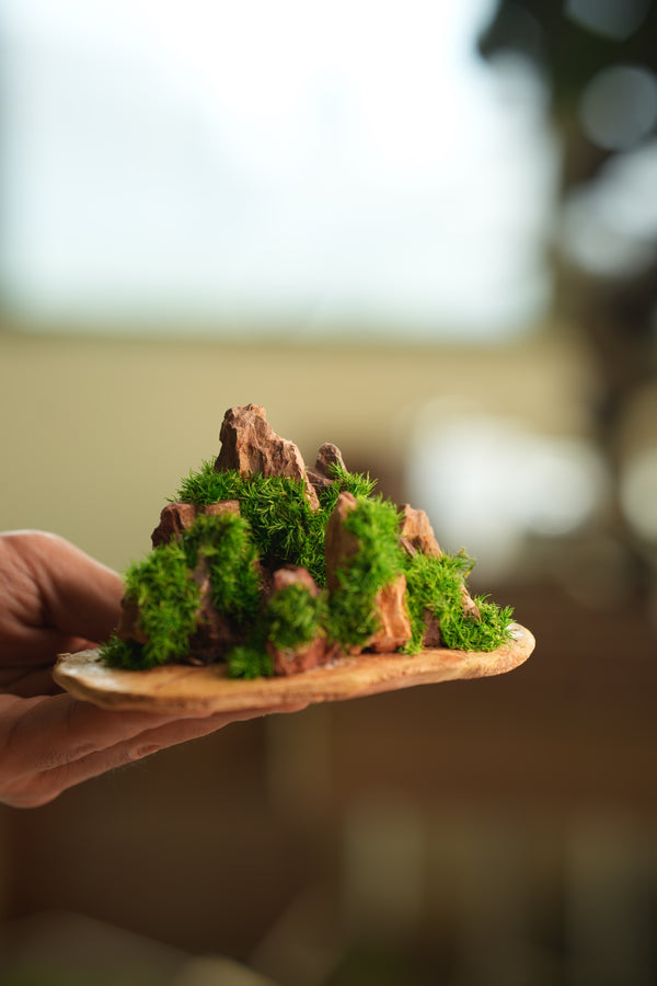 Angel's Landing - Valley in Summer (Preserved Plants)